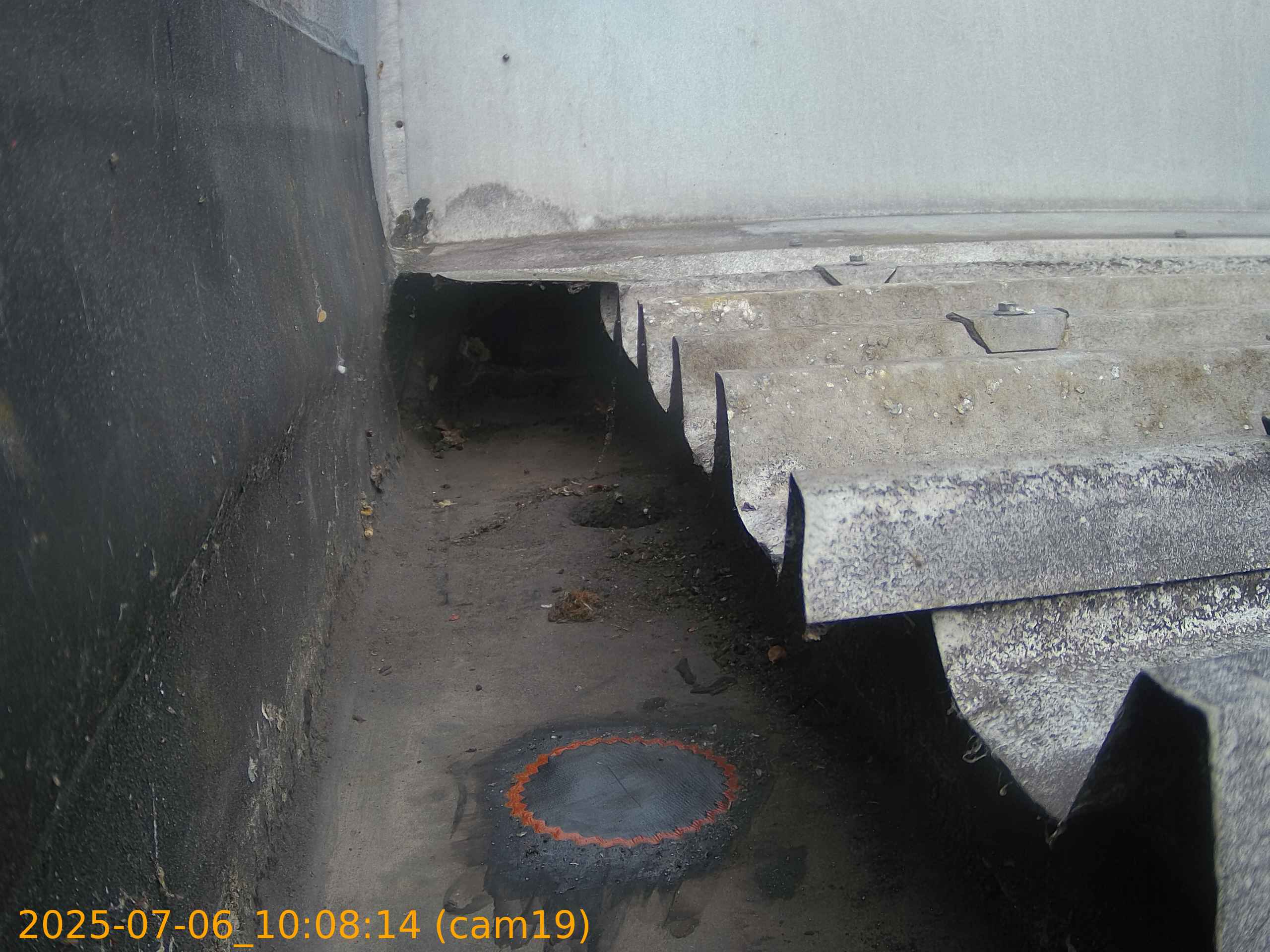 thumbnail_20250706100814