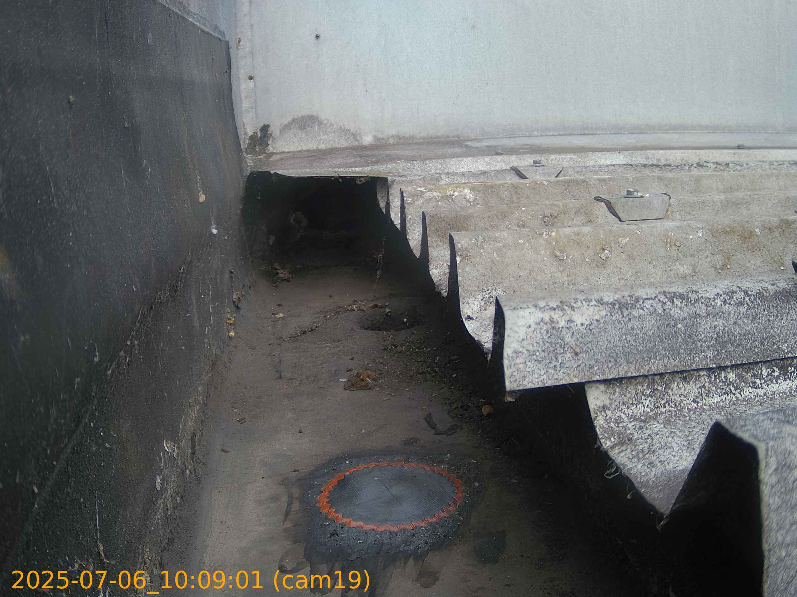 thumbnail_20250706100901