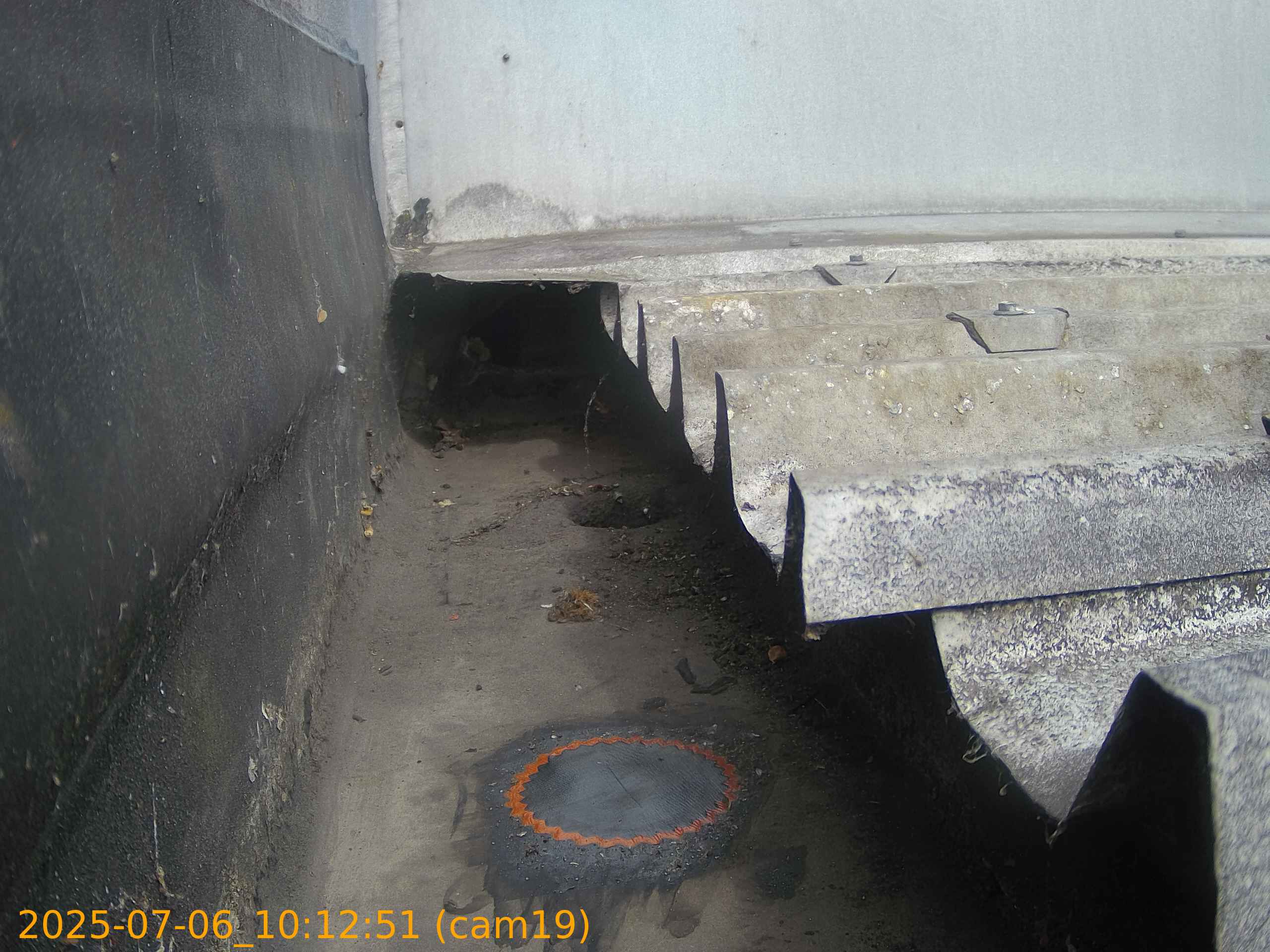 thumbnail_20250706101251