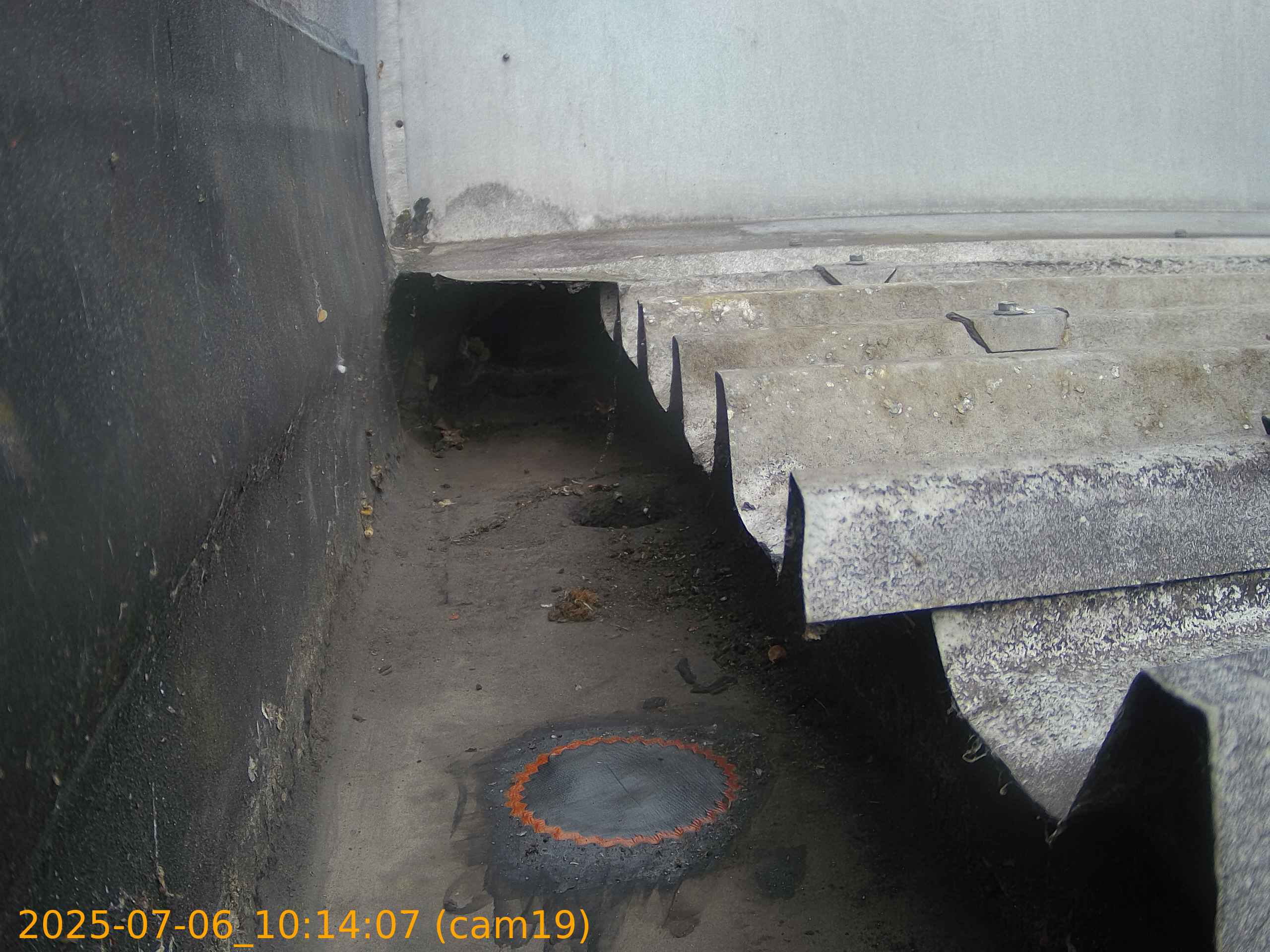 thumbnail_20250706101407