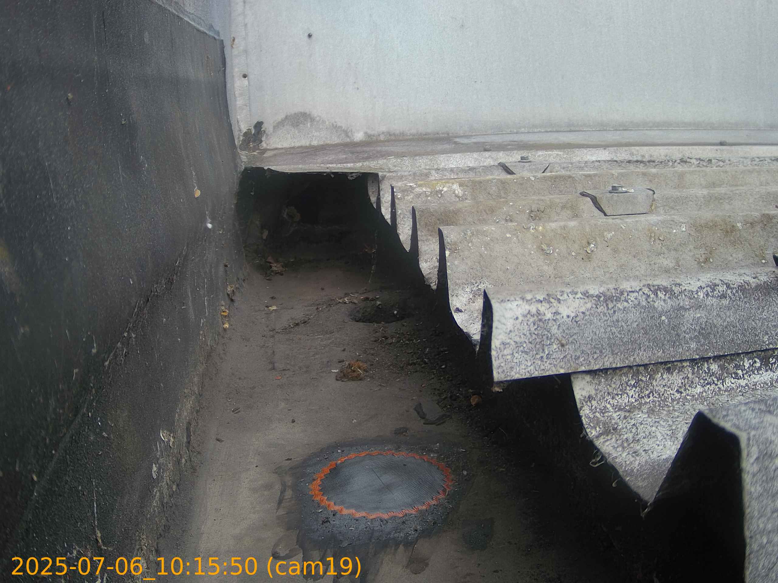 thumbnail_20250706101550