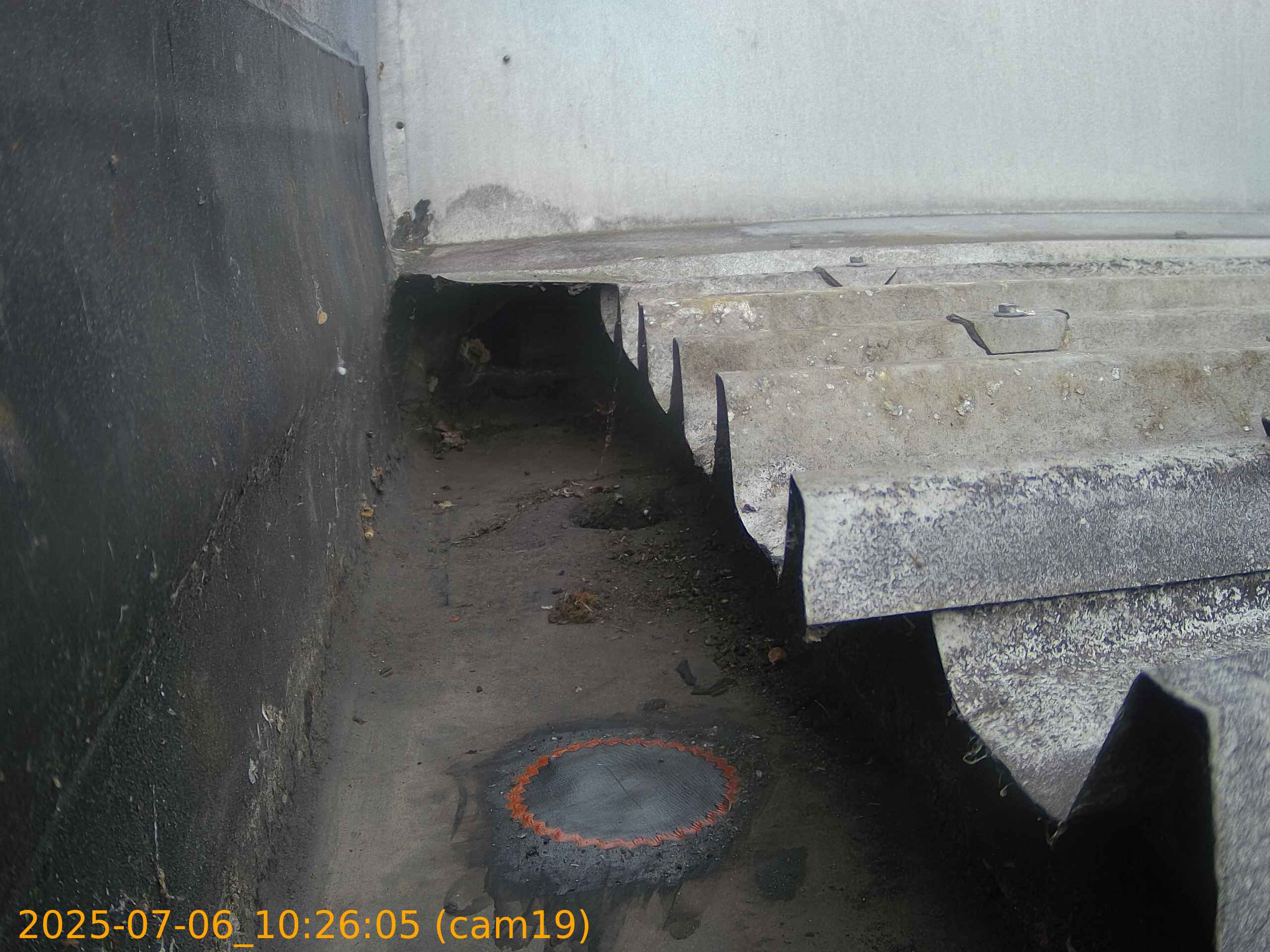 thumbnail_20250706102605