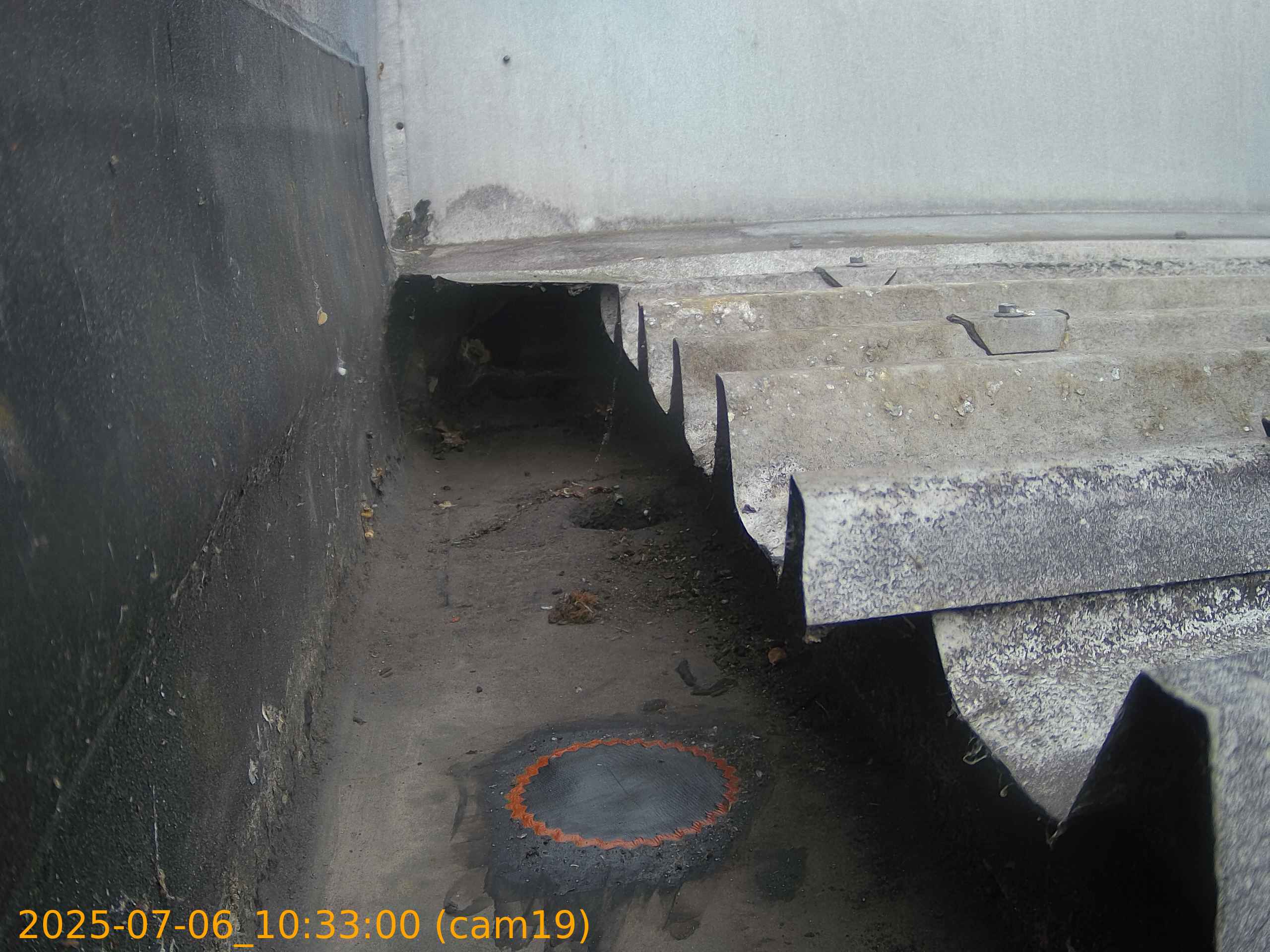 thumbnail_20250706103300