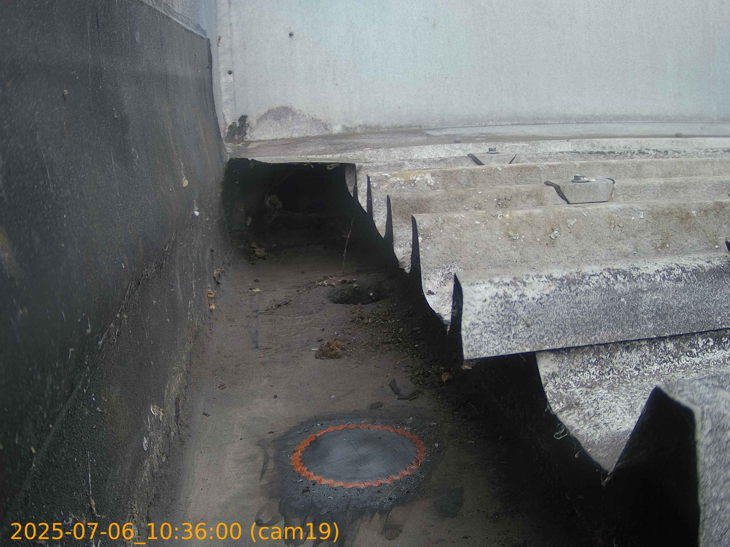 thumbnail_20250706103600