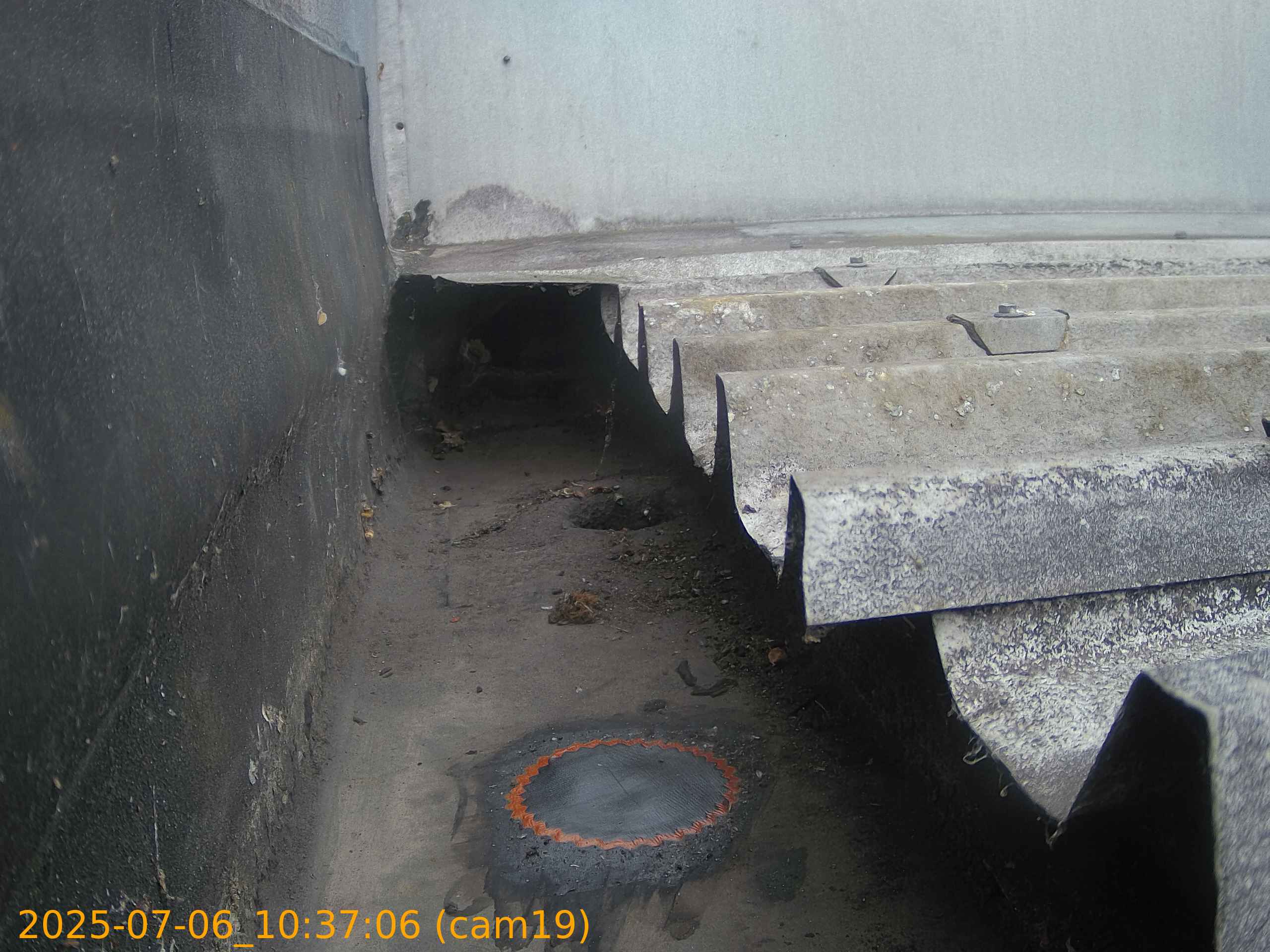 thumbnail_20250706103706