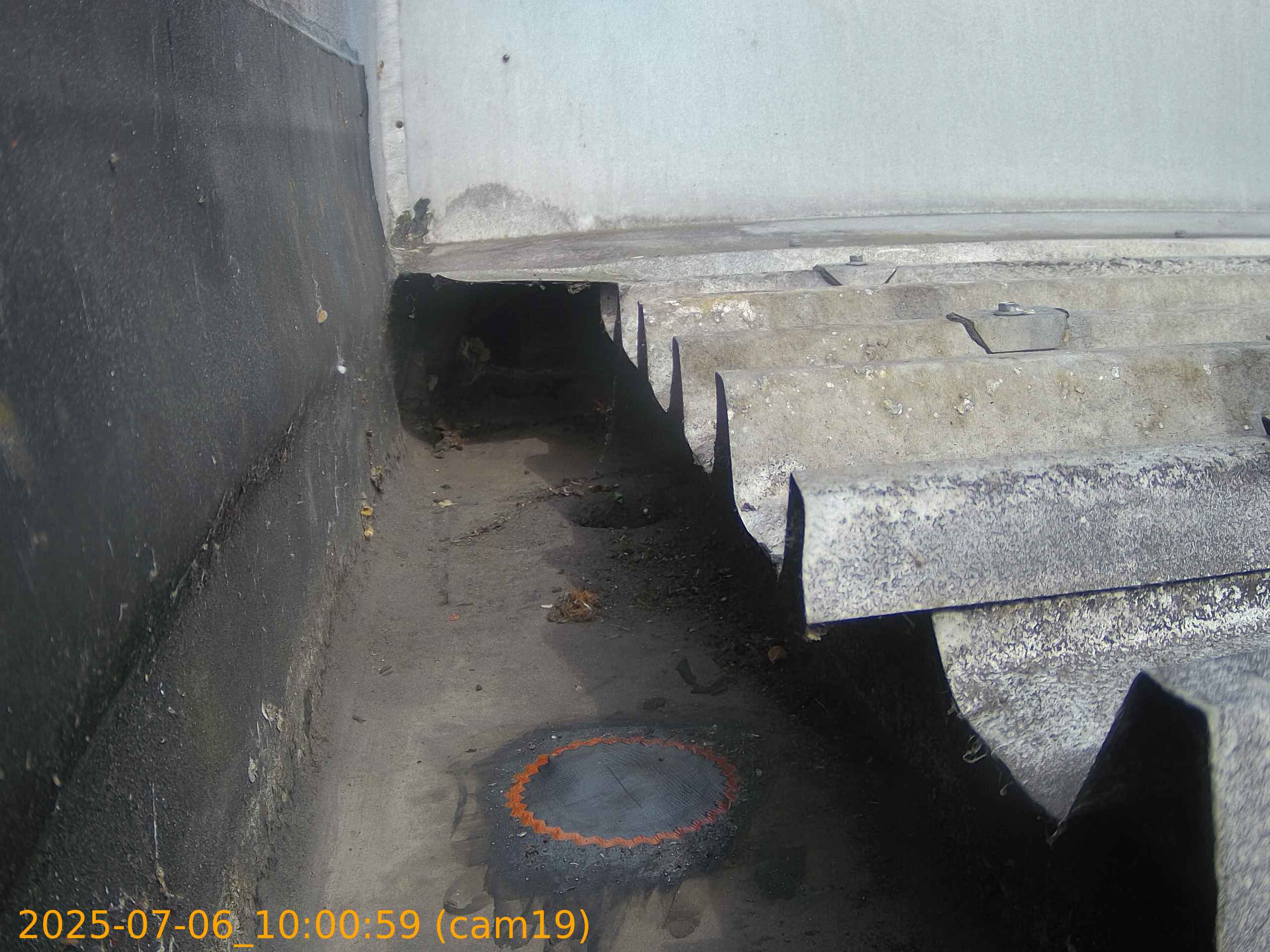 thumbnail_202507061000