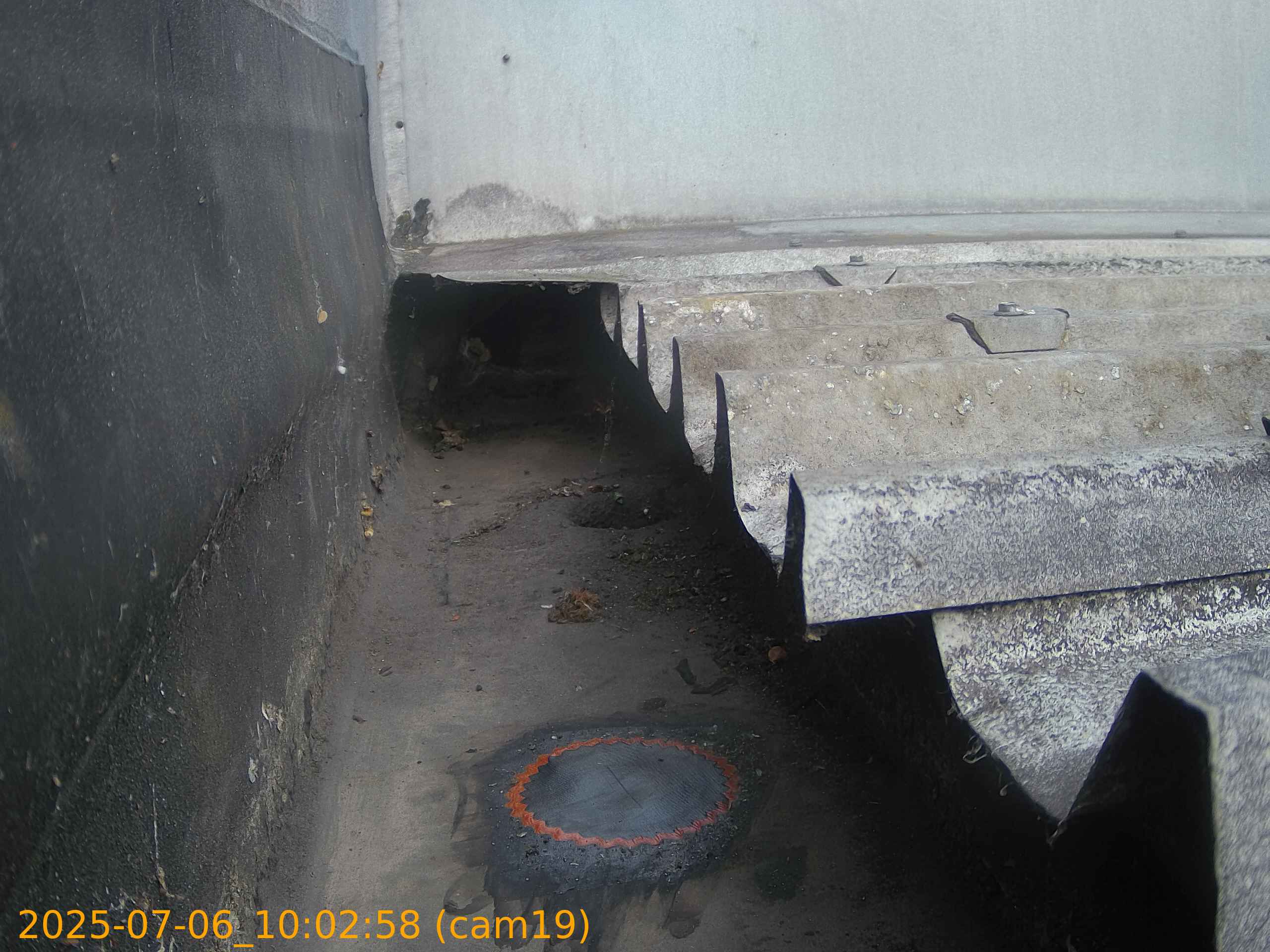 thumbnail_202507061002