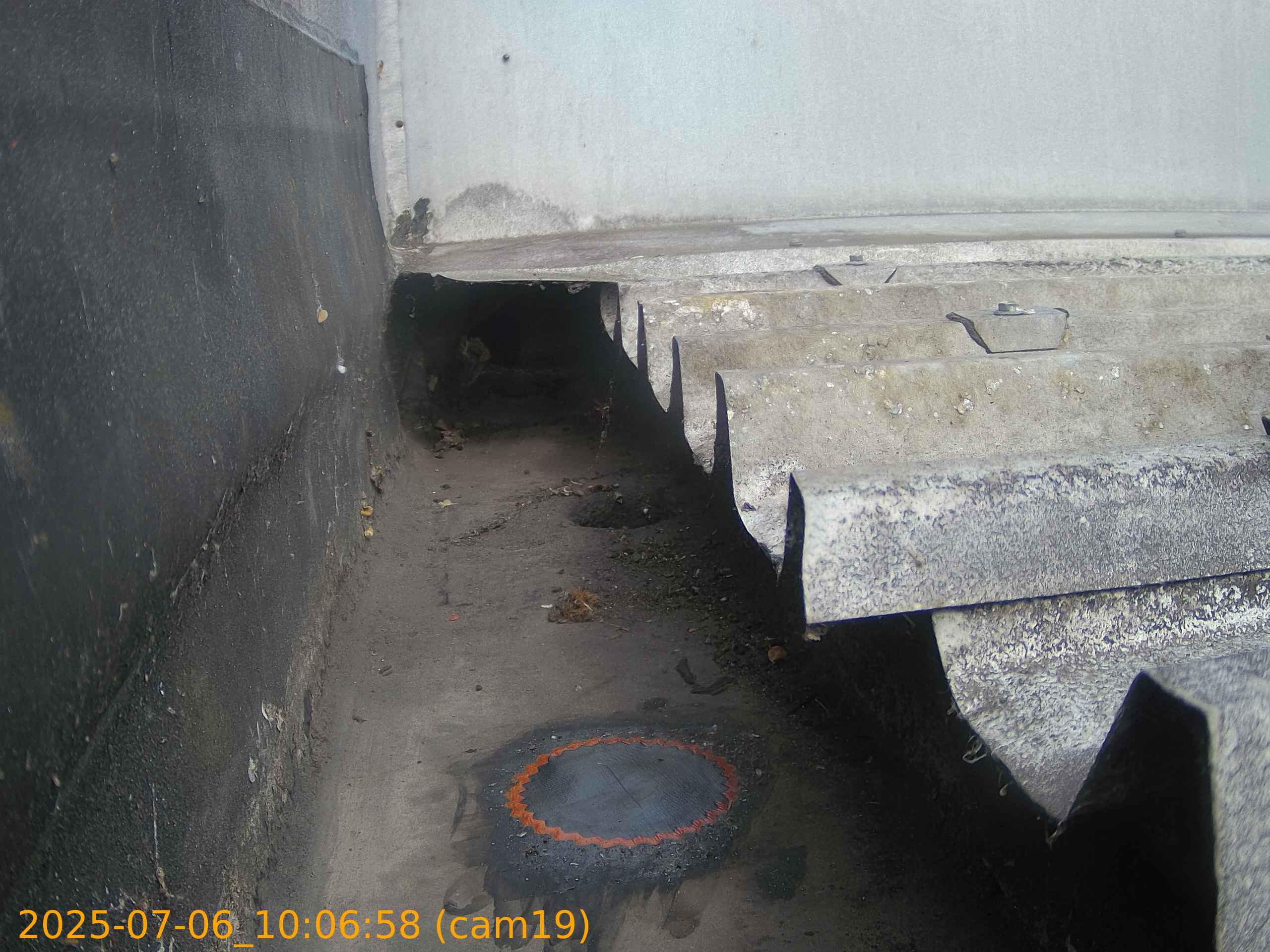 thumbnail_202507061006