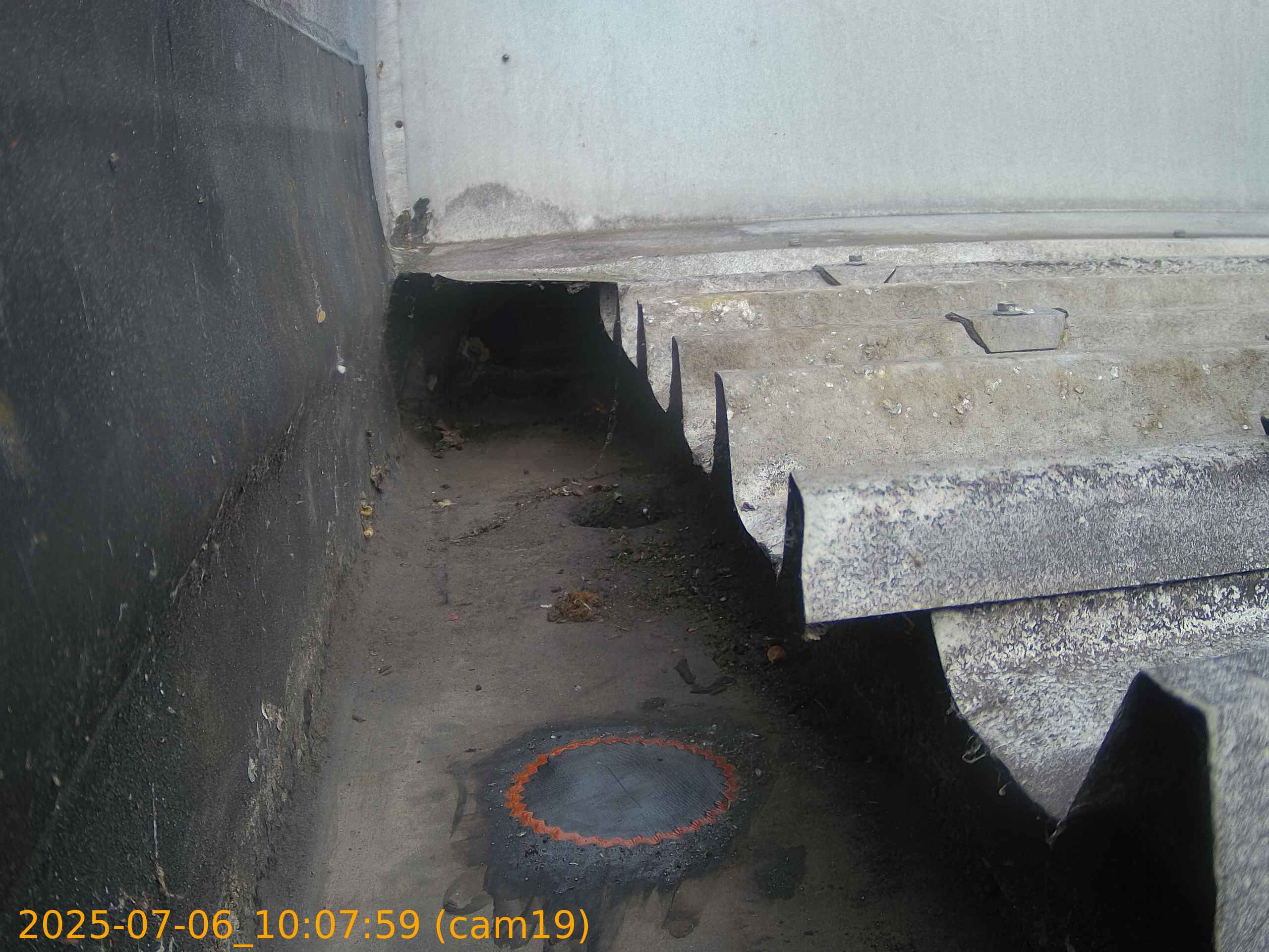 thumbnail_202507061007