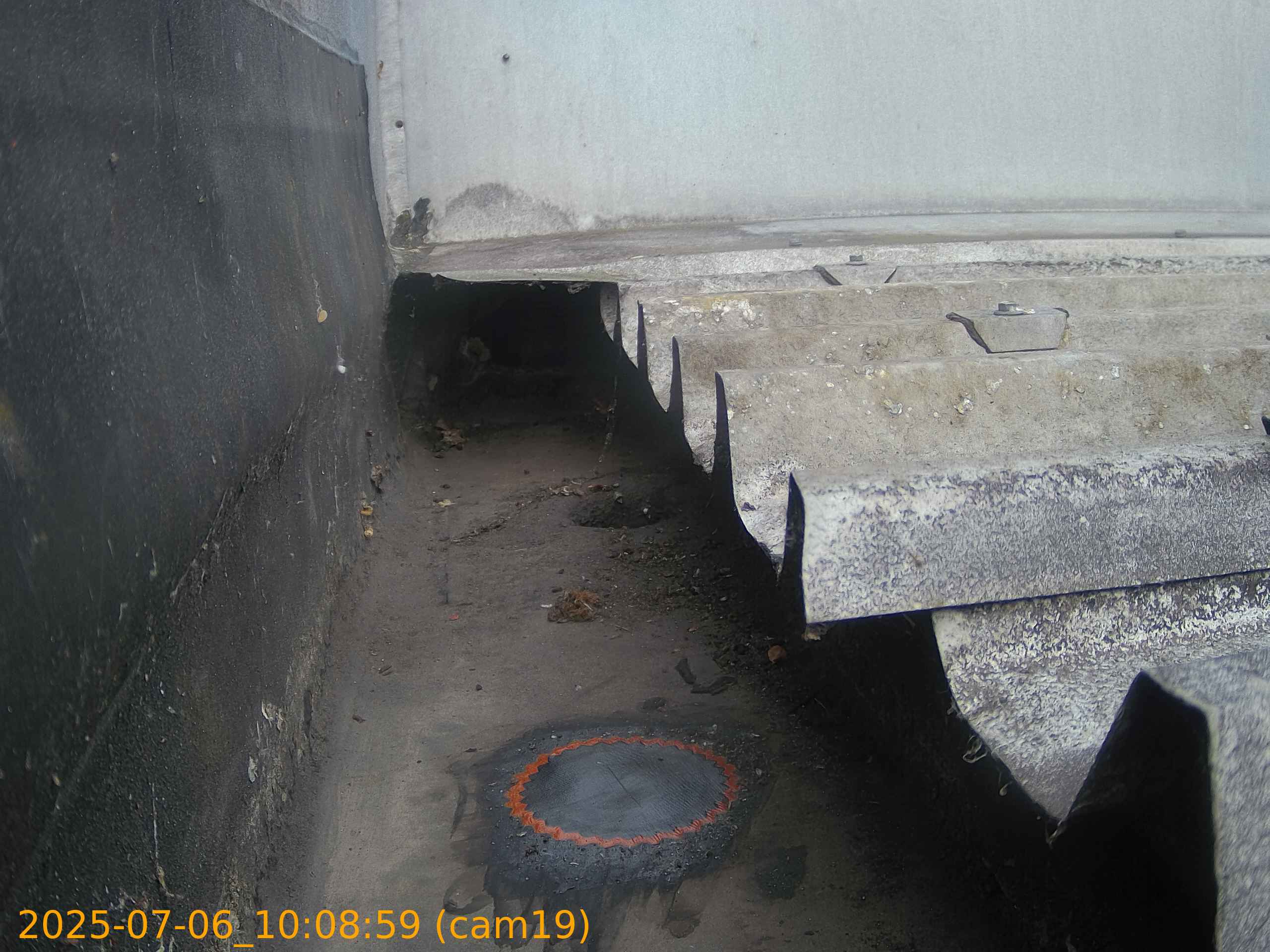 thumbnail_202507061008