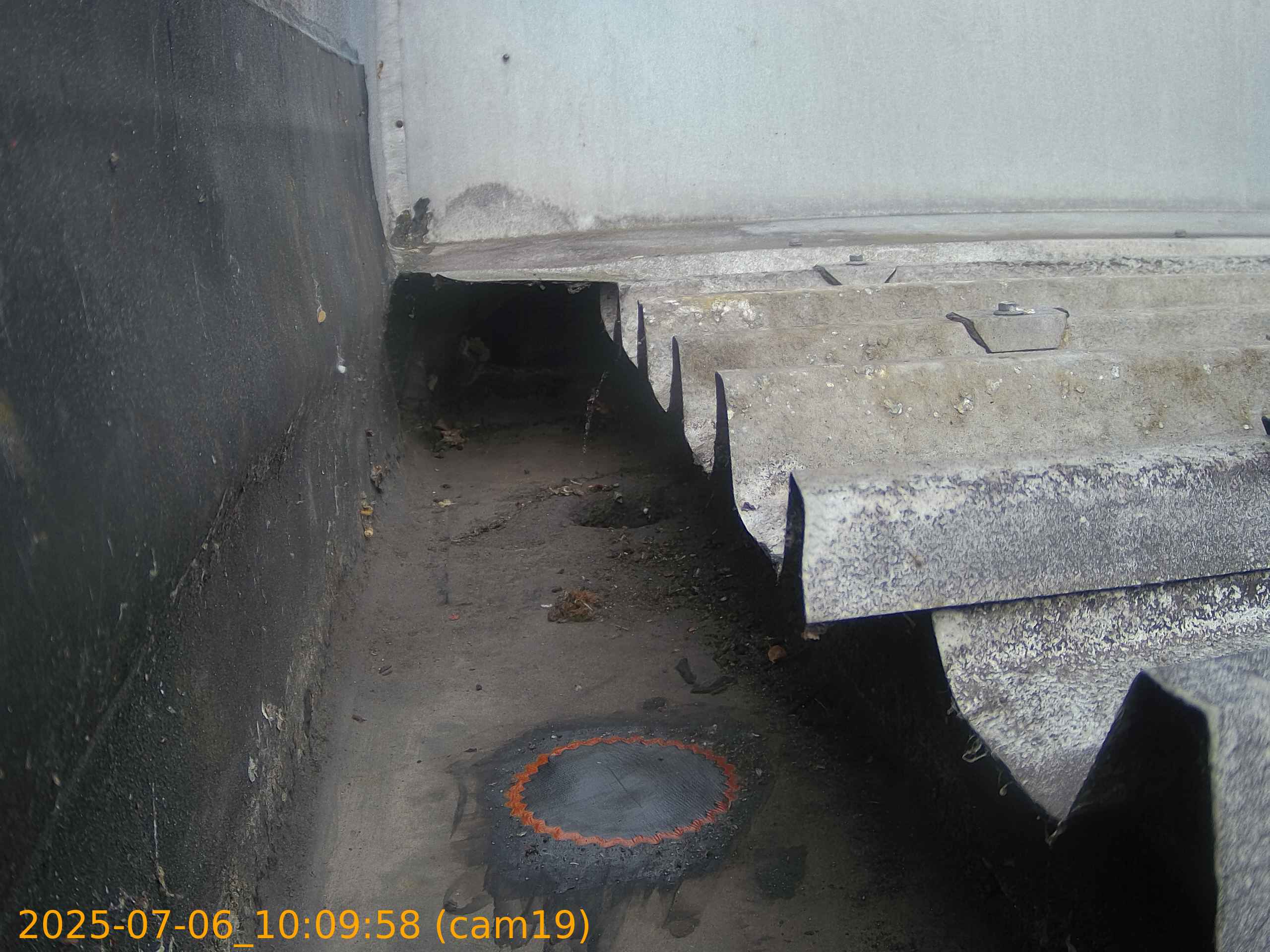 thumbnail_202507061009