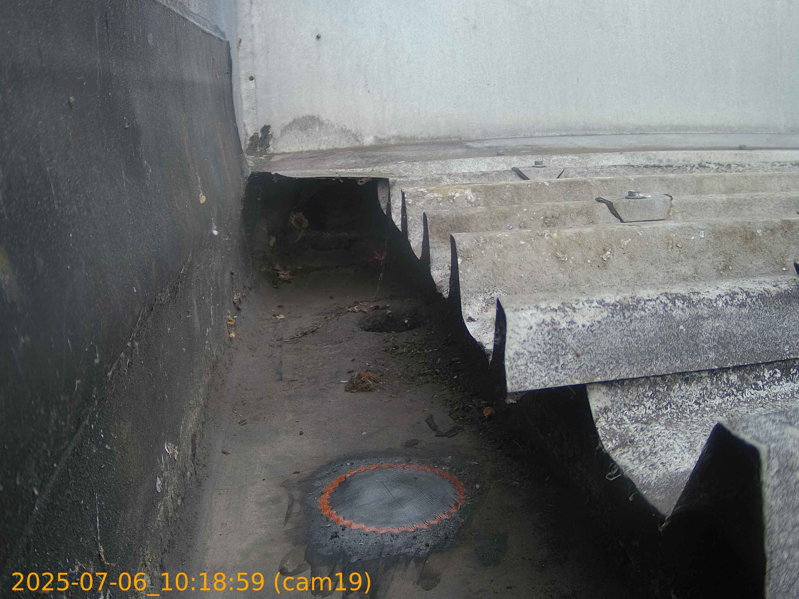 thumbnail_202507061018