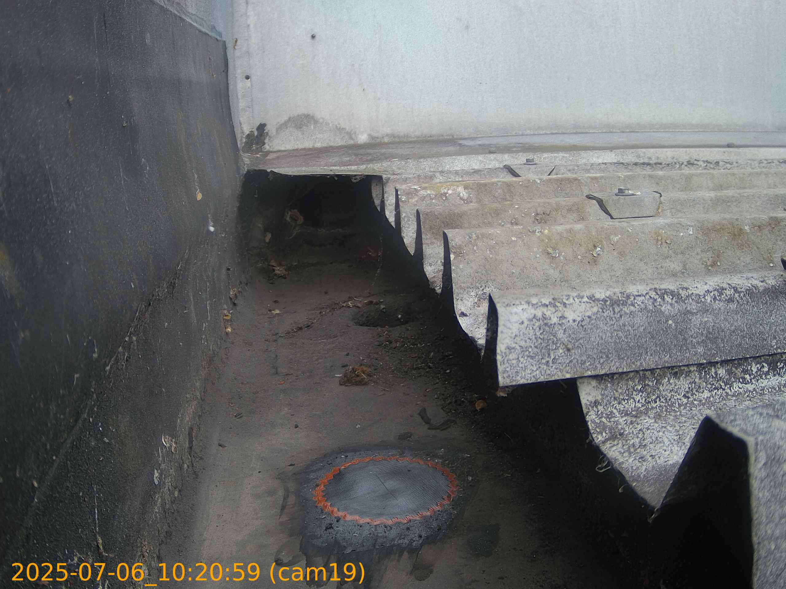 thumbnail_202507061020