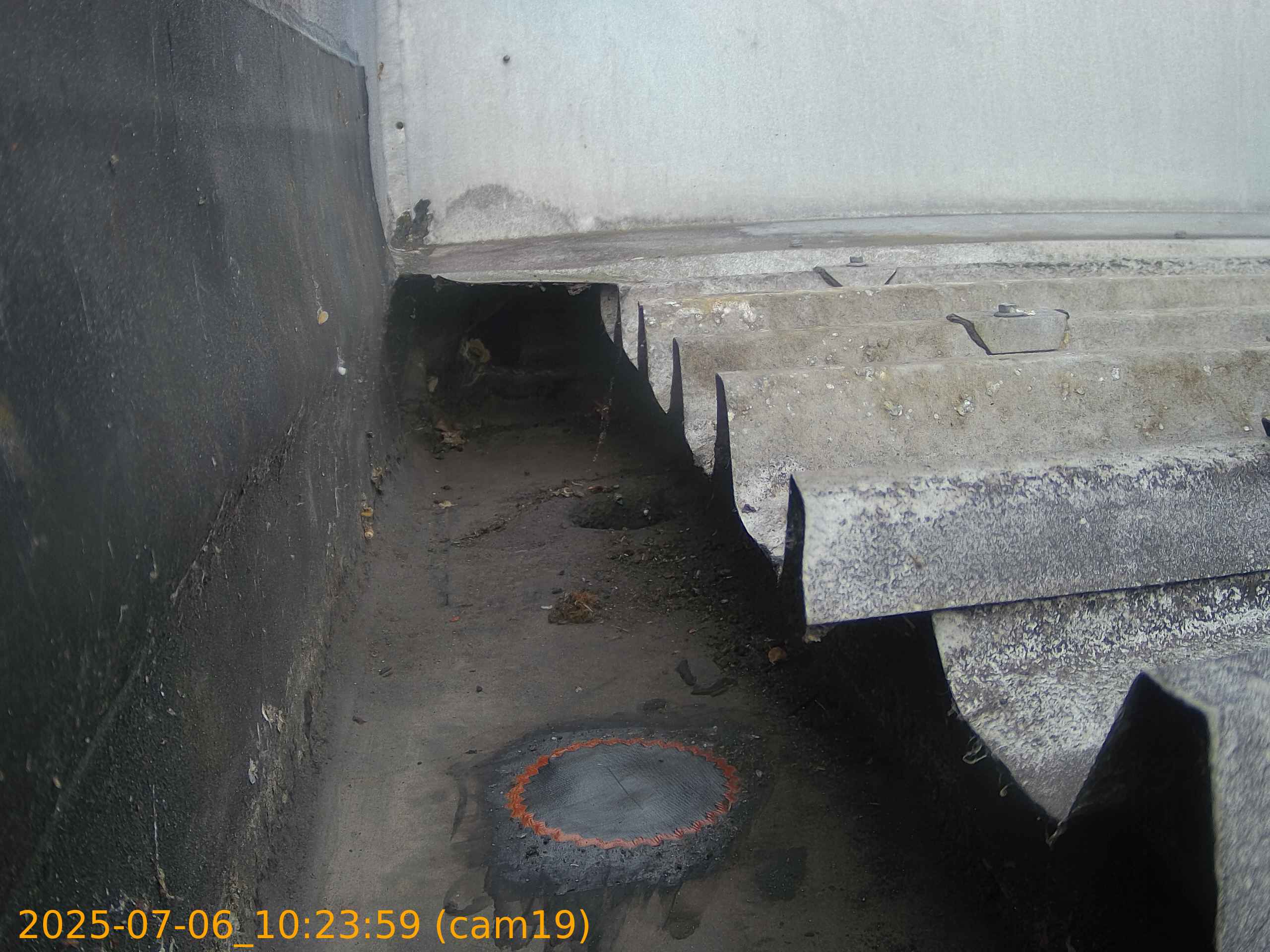 thumbnail_202507061023