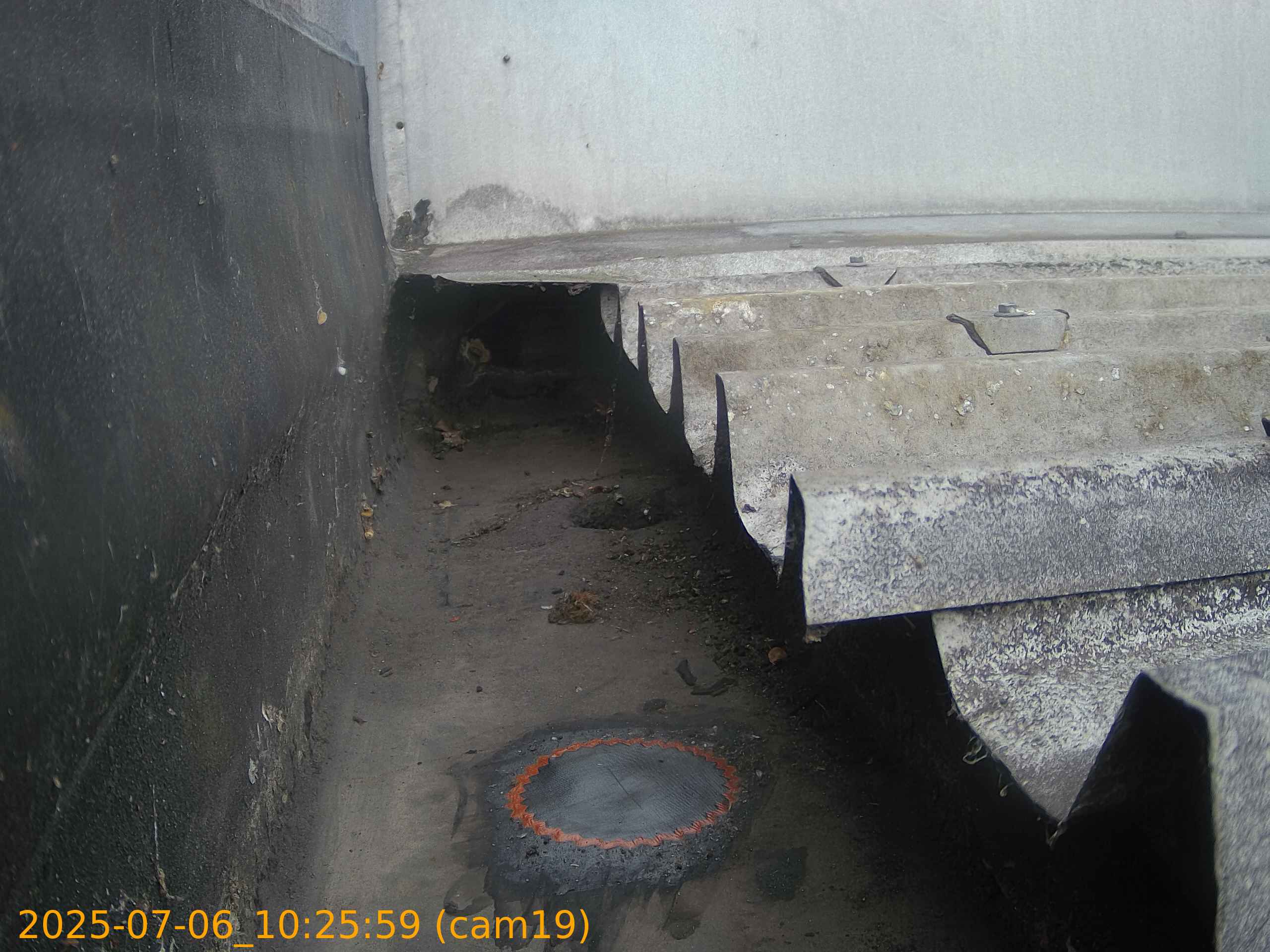 thumbnail_202507061025