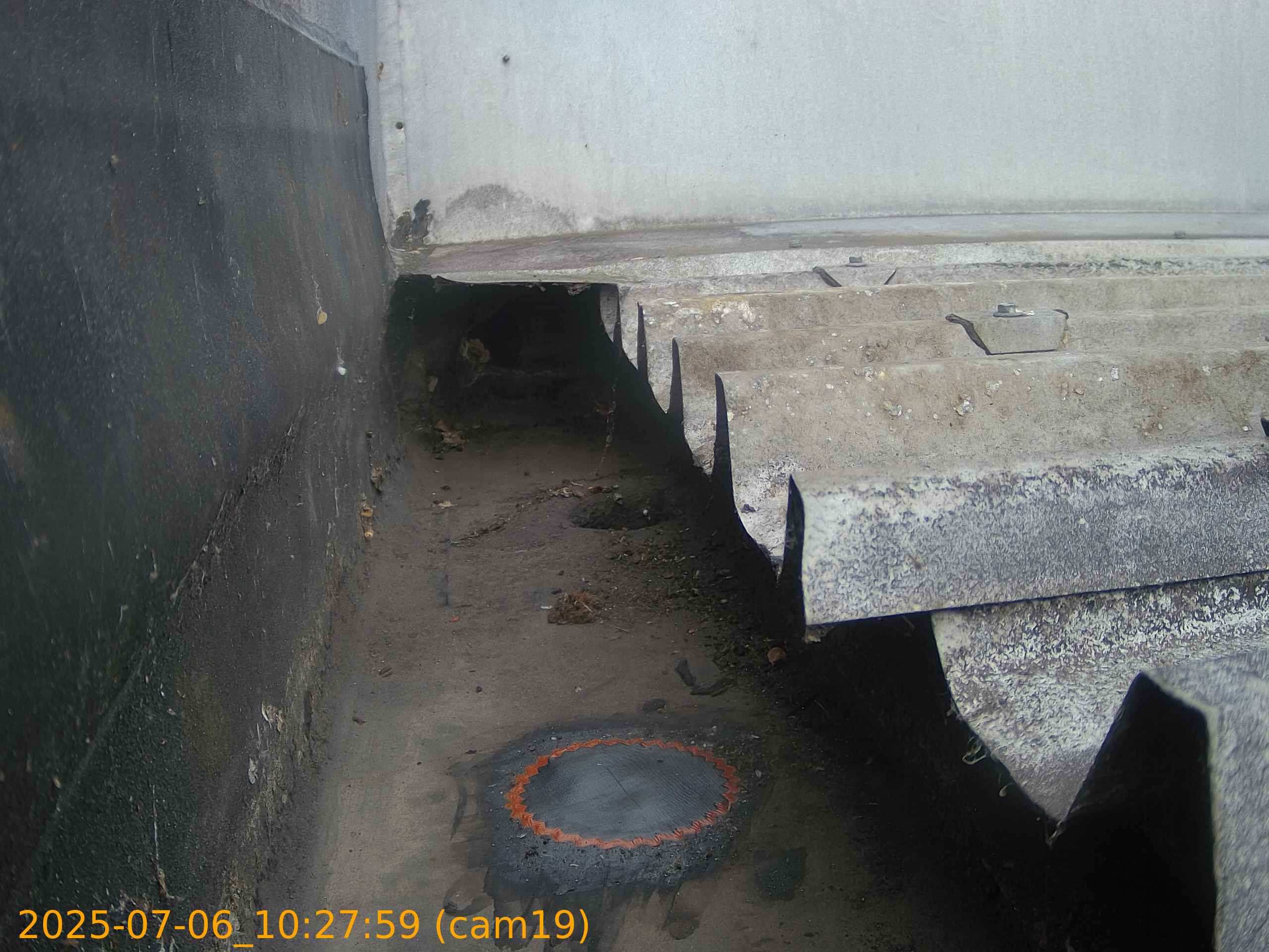 thumbnail_202507061027