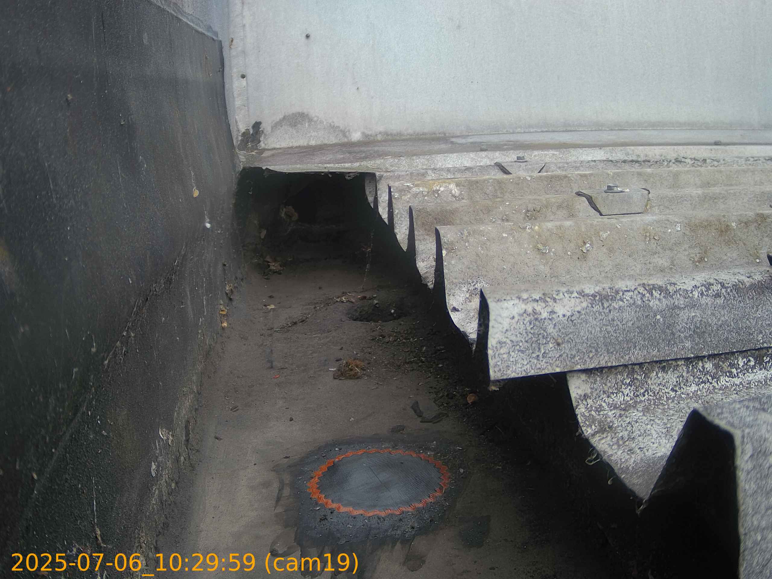 thumbnail_202507061029