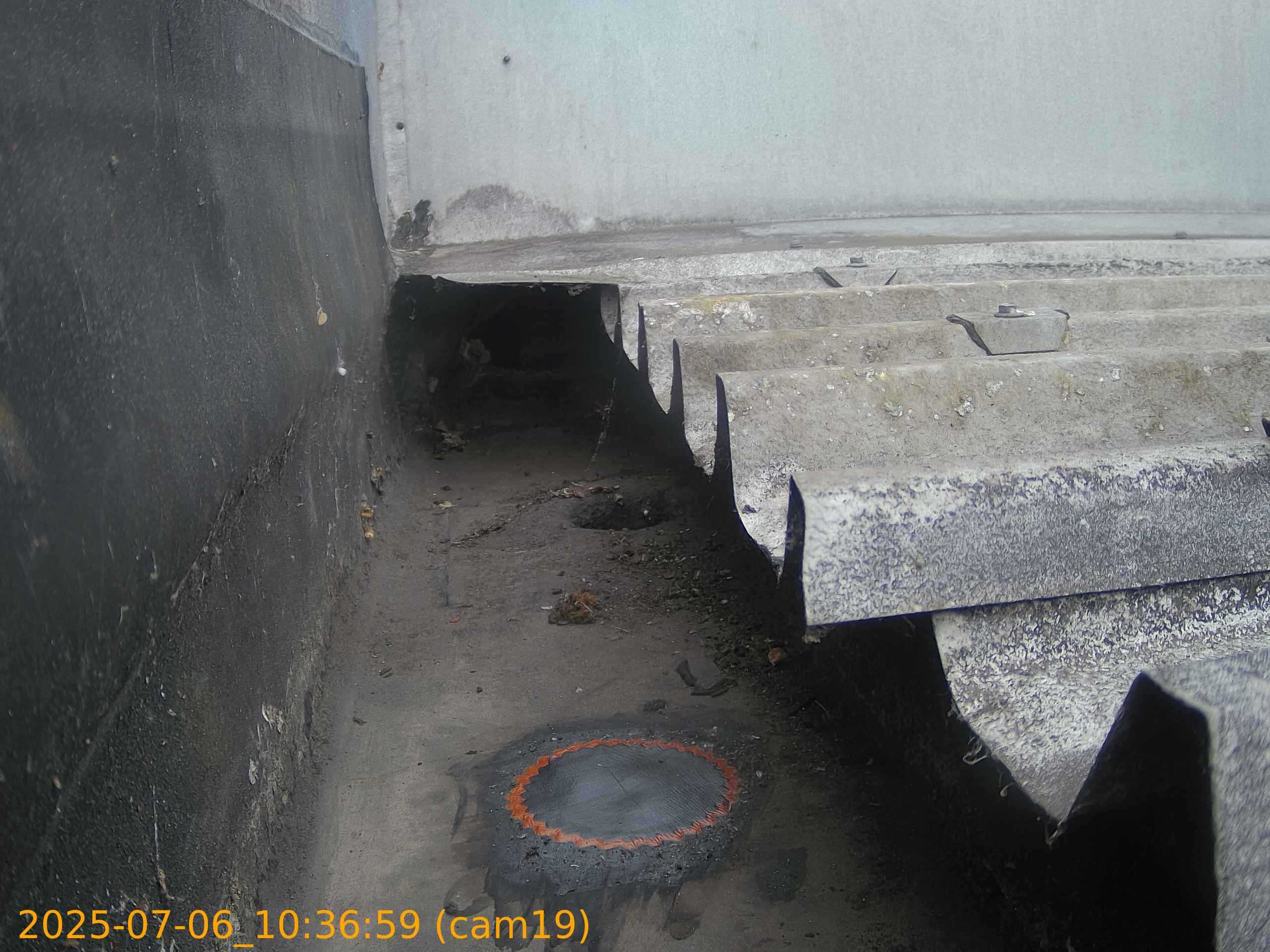 thumbnail_202507061036
