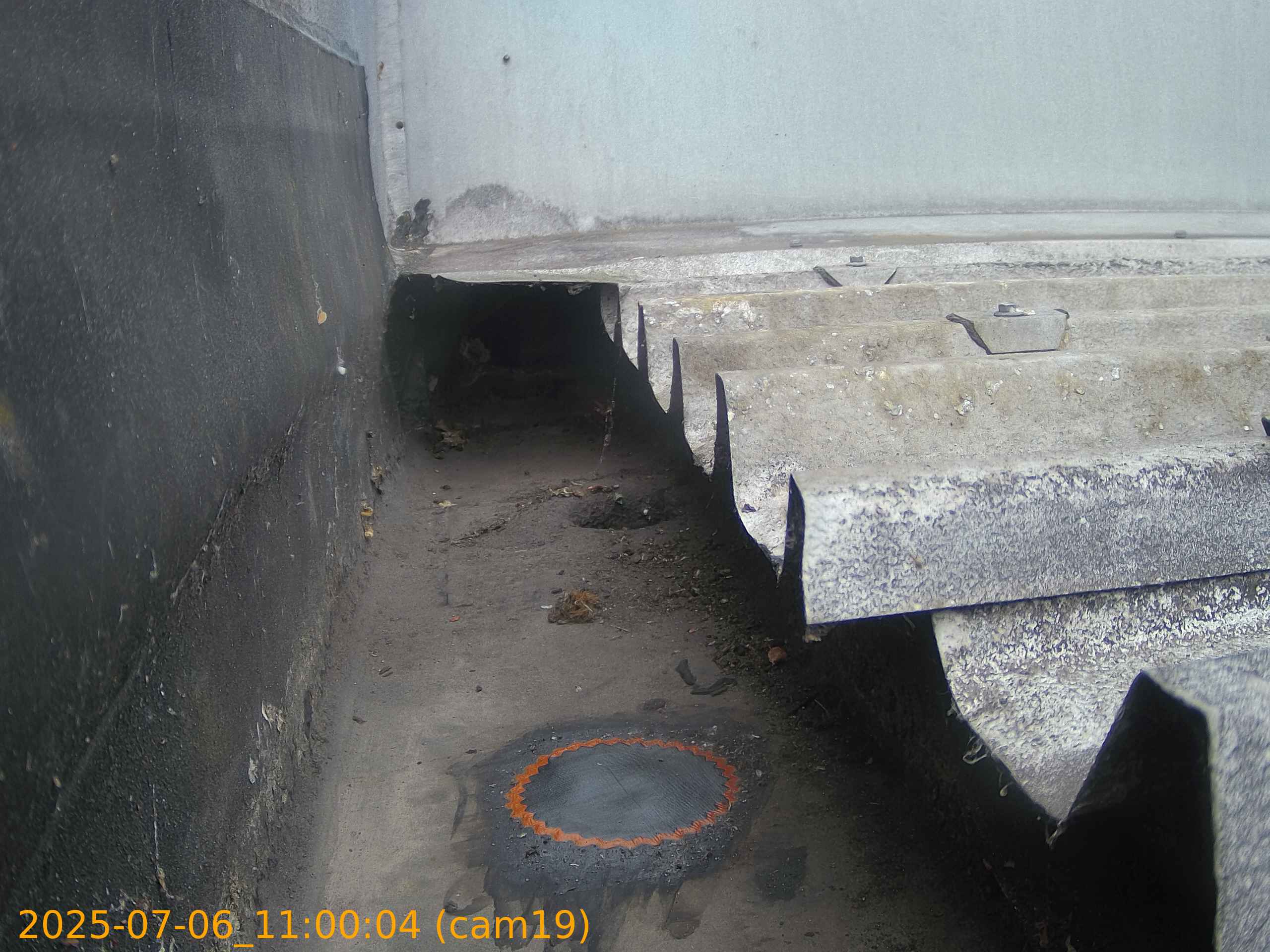 thumbnail_20250706110003