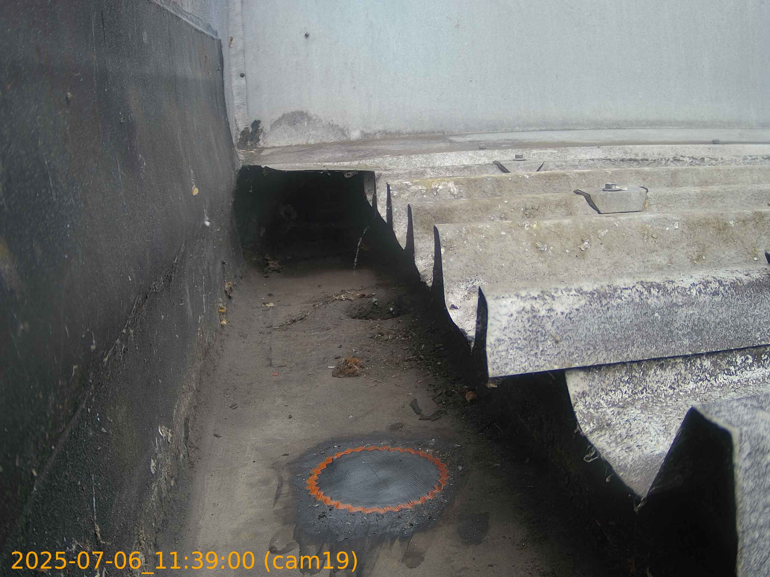 thumbnail_20250706113900