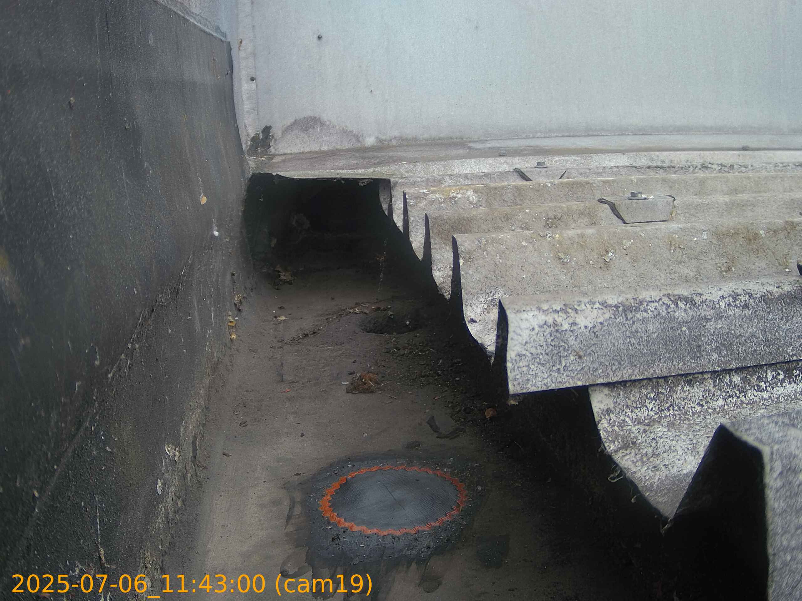thumbnail_20250706114300