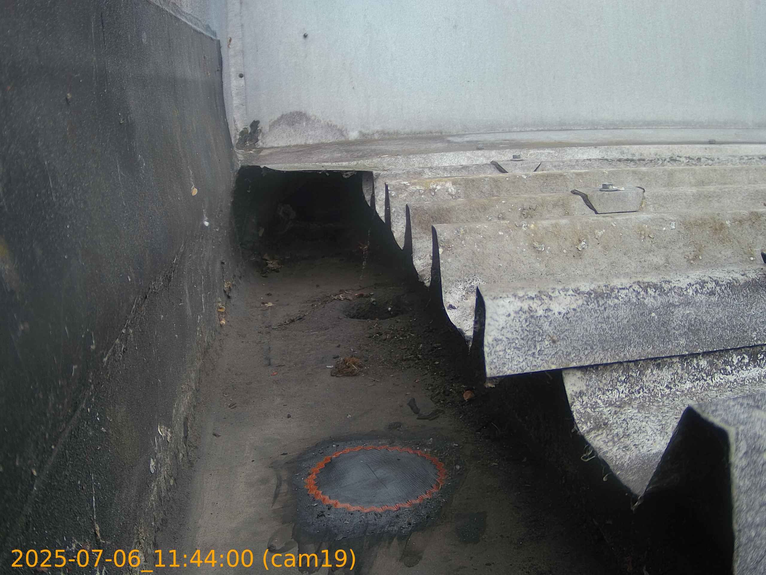 thumbnail_20250706114400