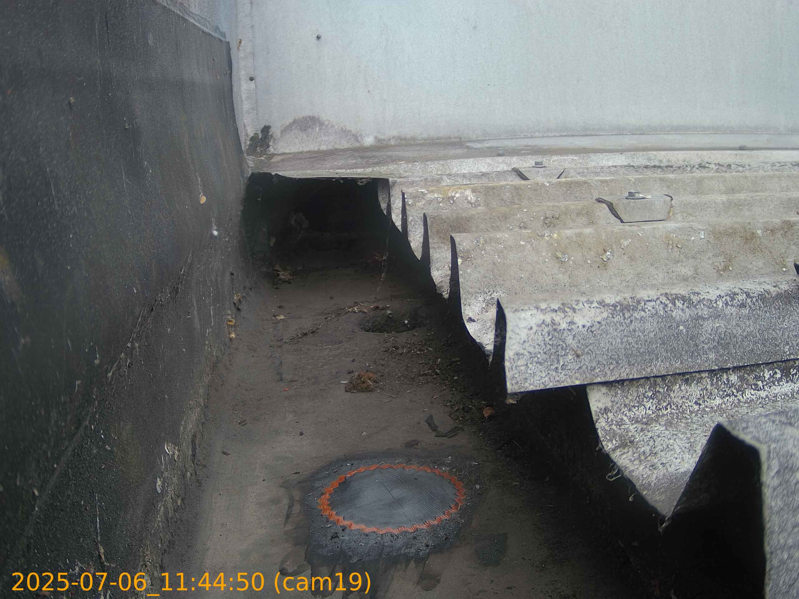 thumbnail_20250706114450