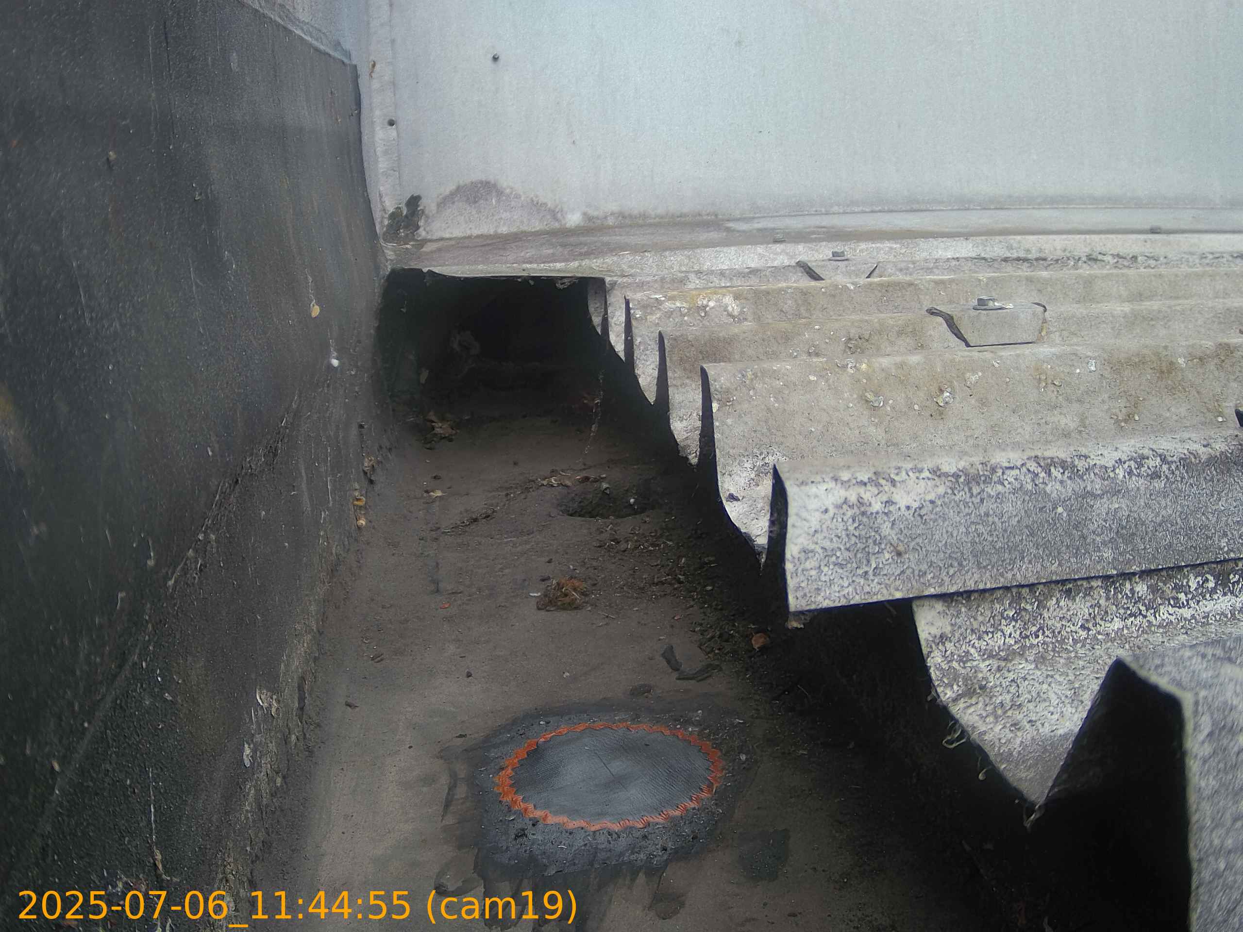 thumbnail_20250706114455
