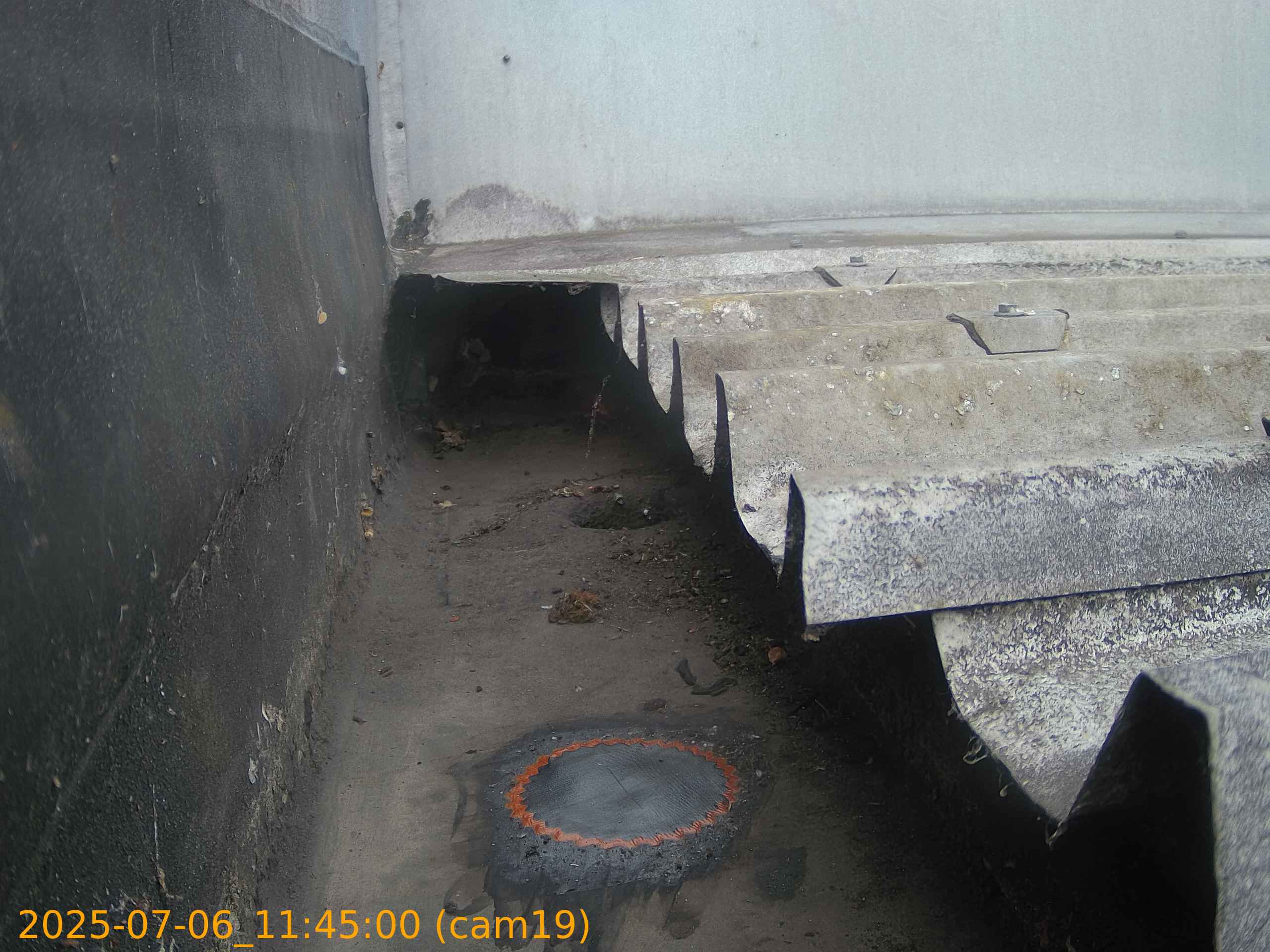thumbnail_20250706114500