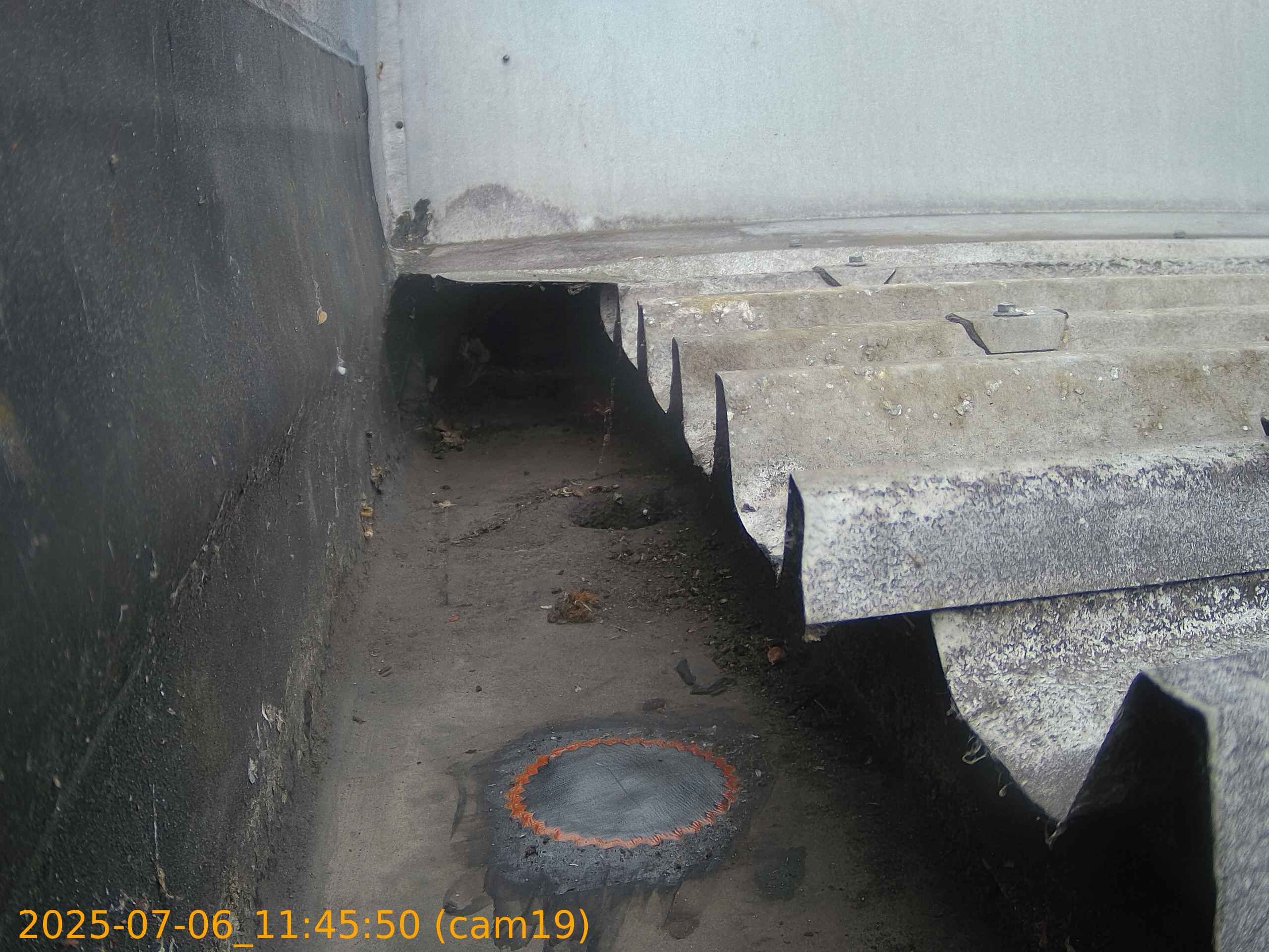 thumbnail_20250706114550