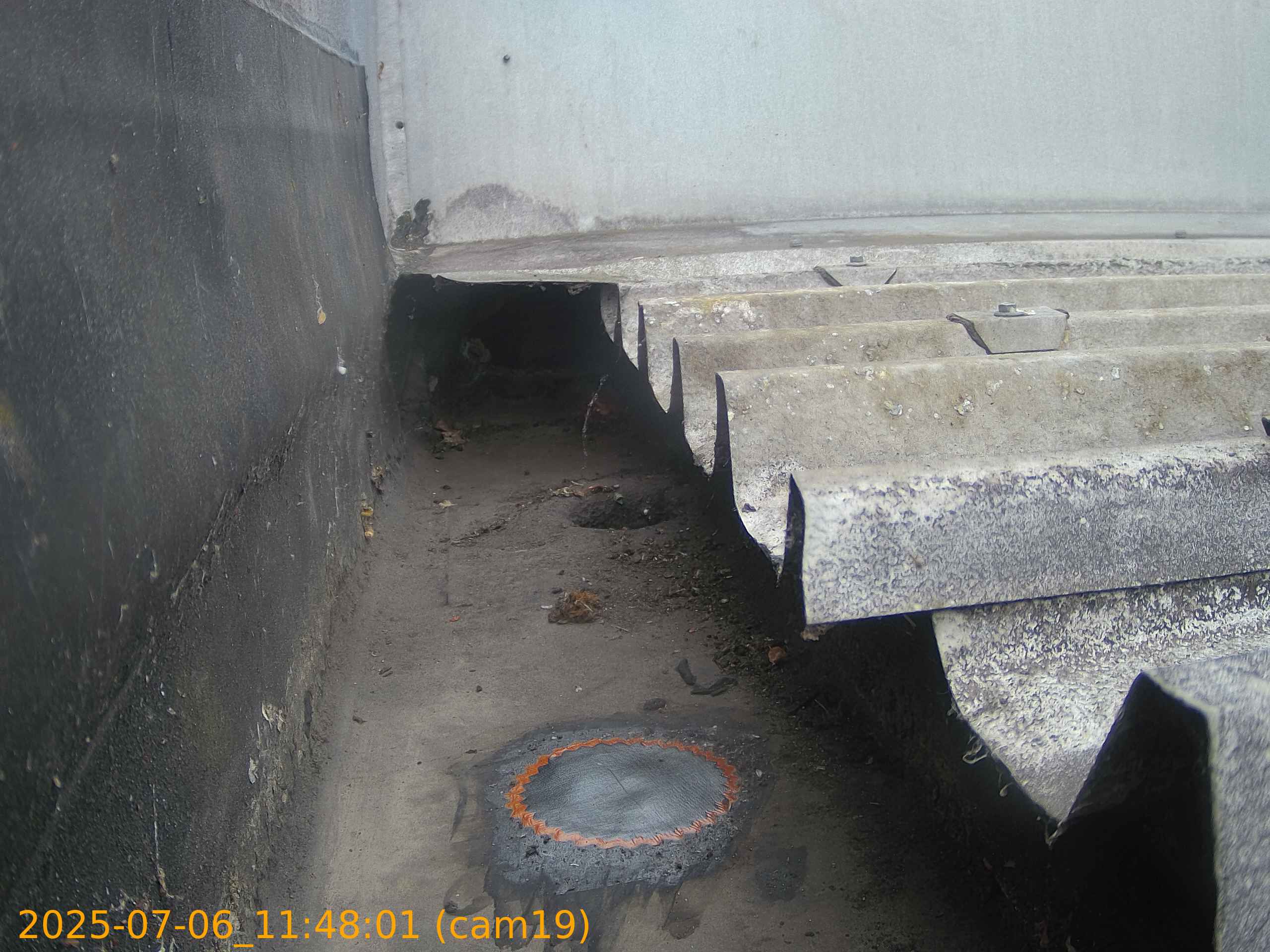 thumbnail_20250706114801