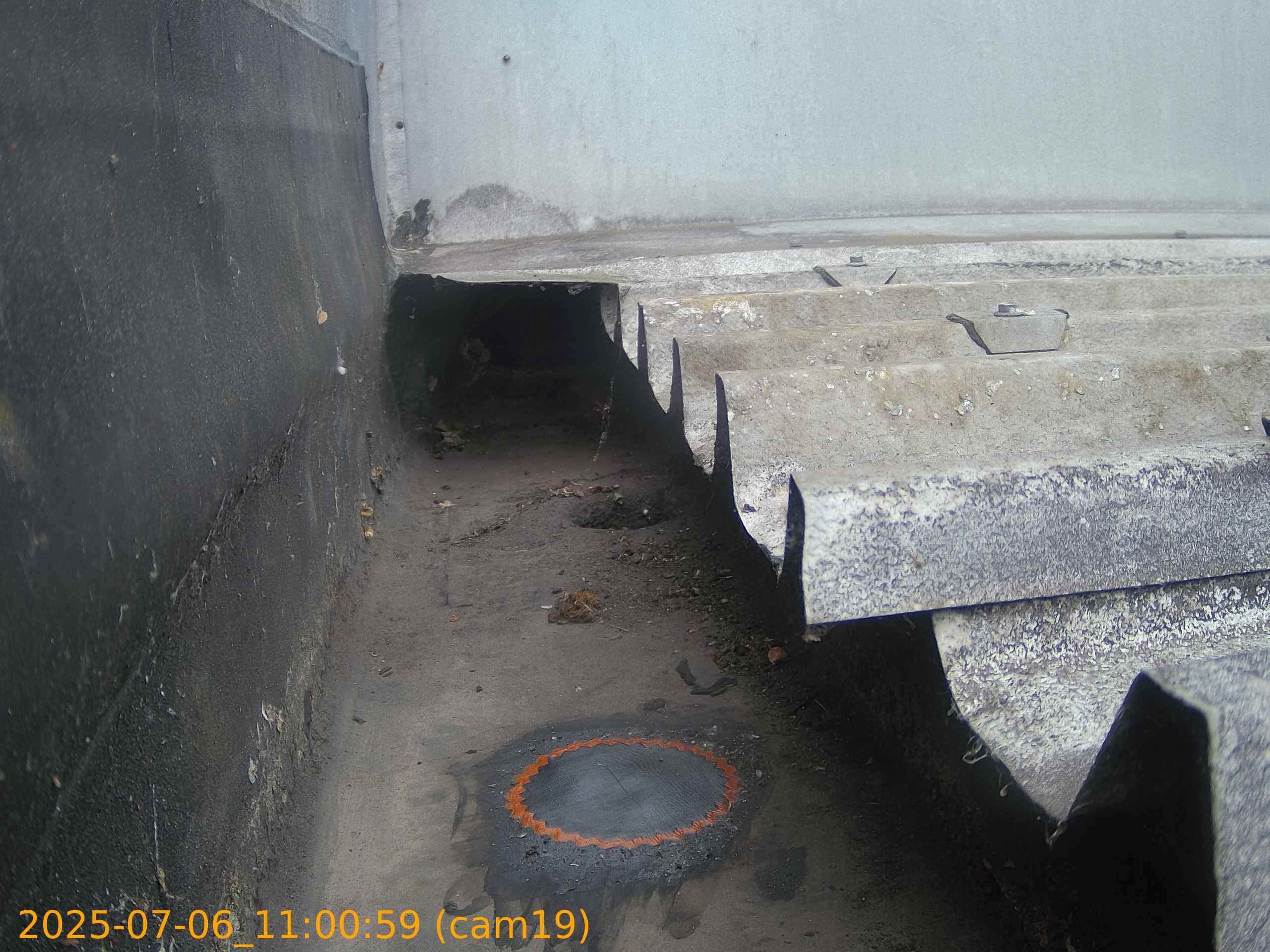 thumbnail_202507061100