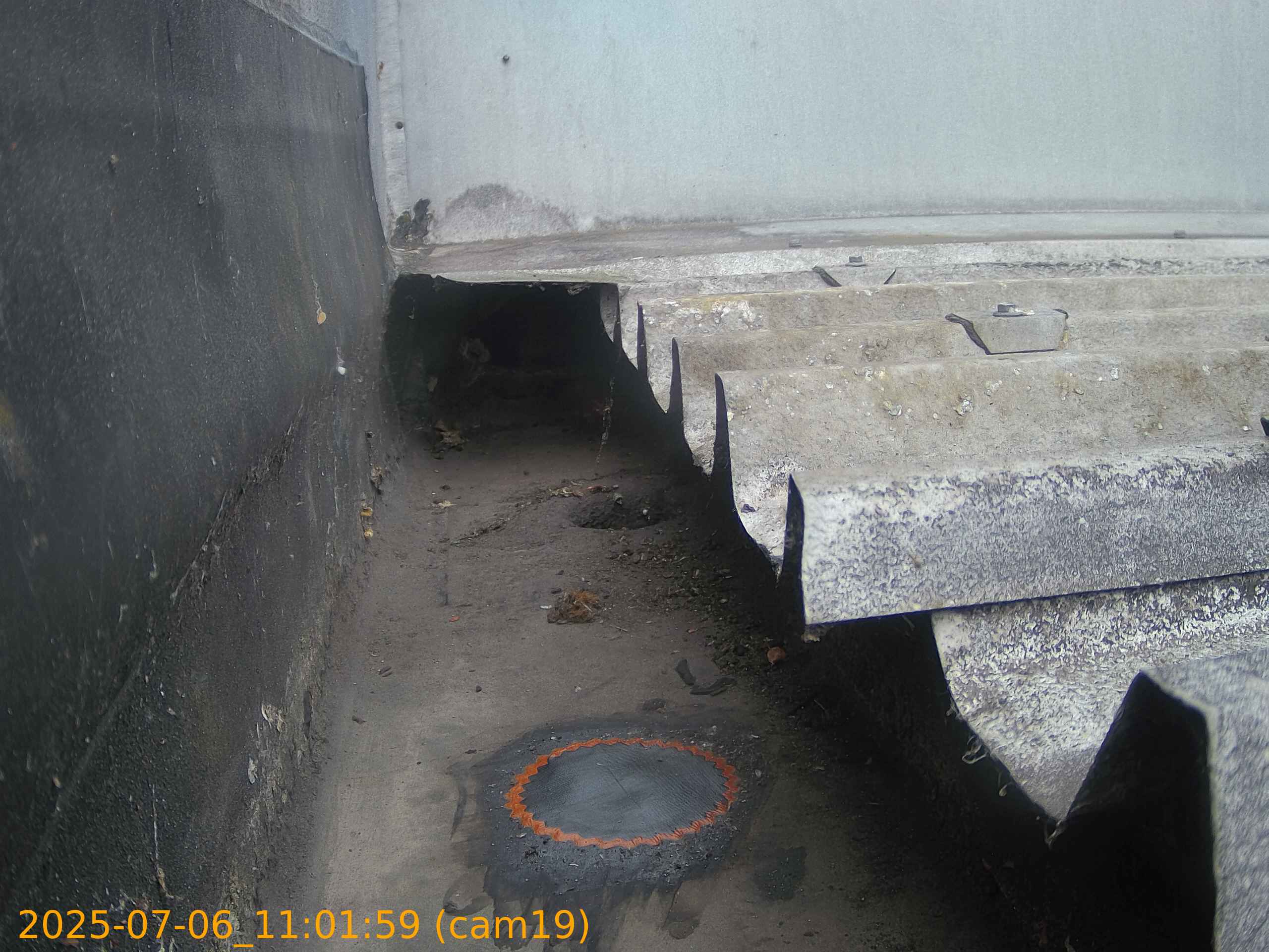 thumbnail_202507061101