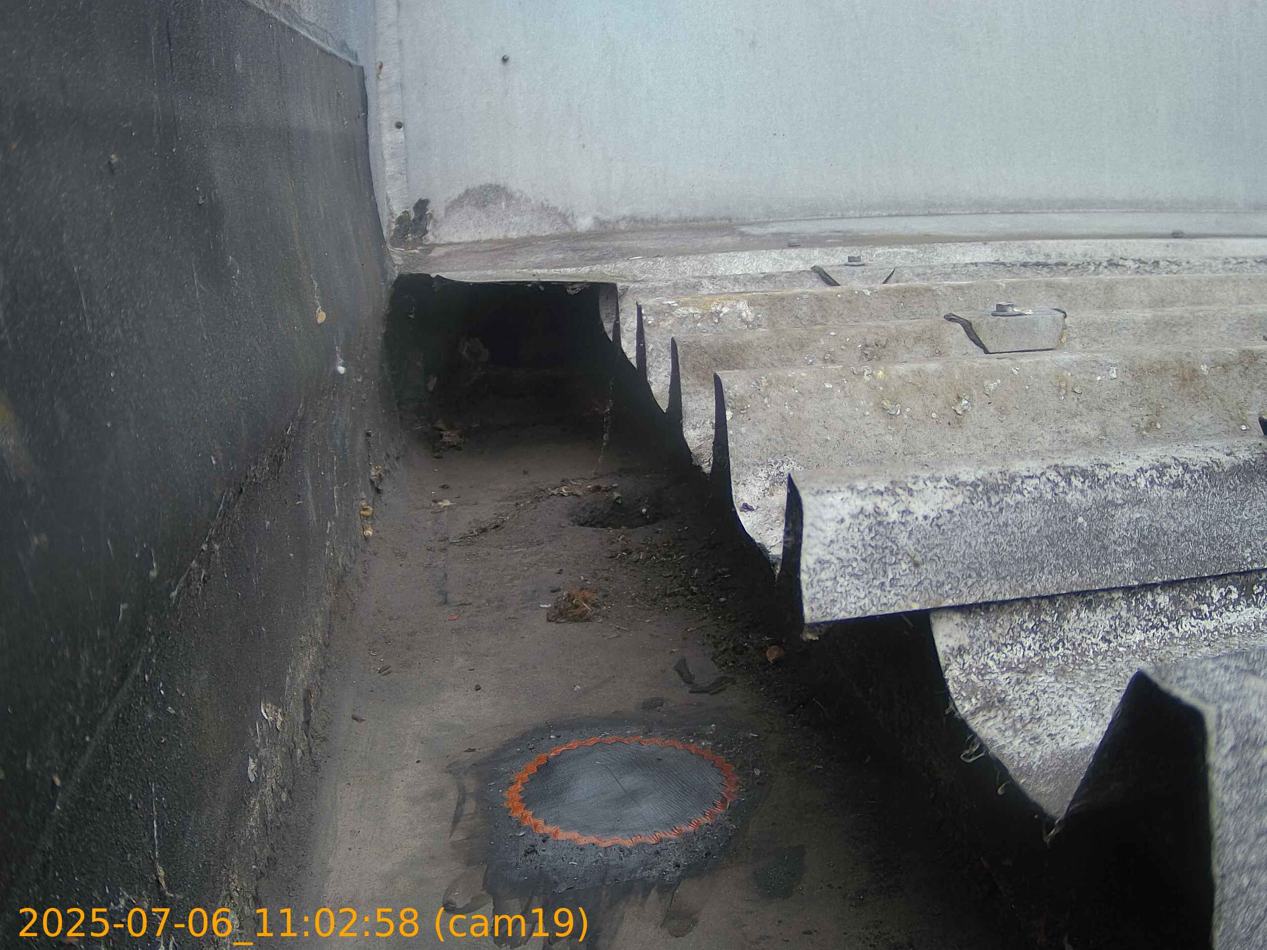 thumbnail_202507061102