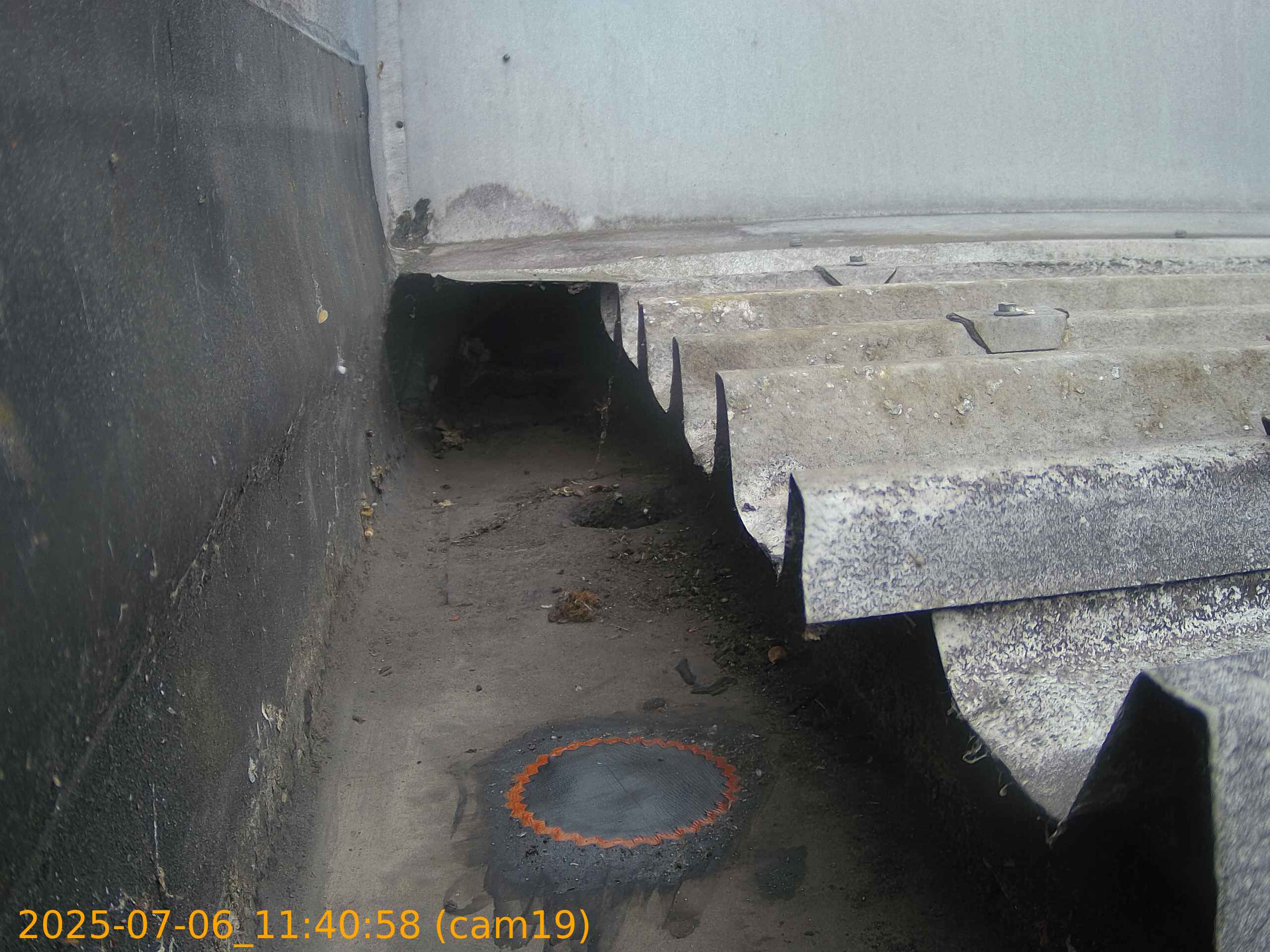 thumbnail_202507061140
