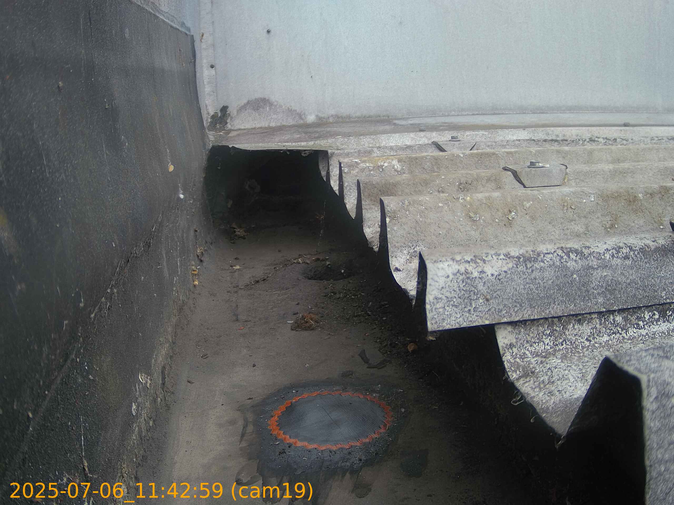 thumbnail_202507061142