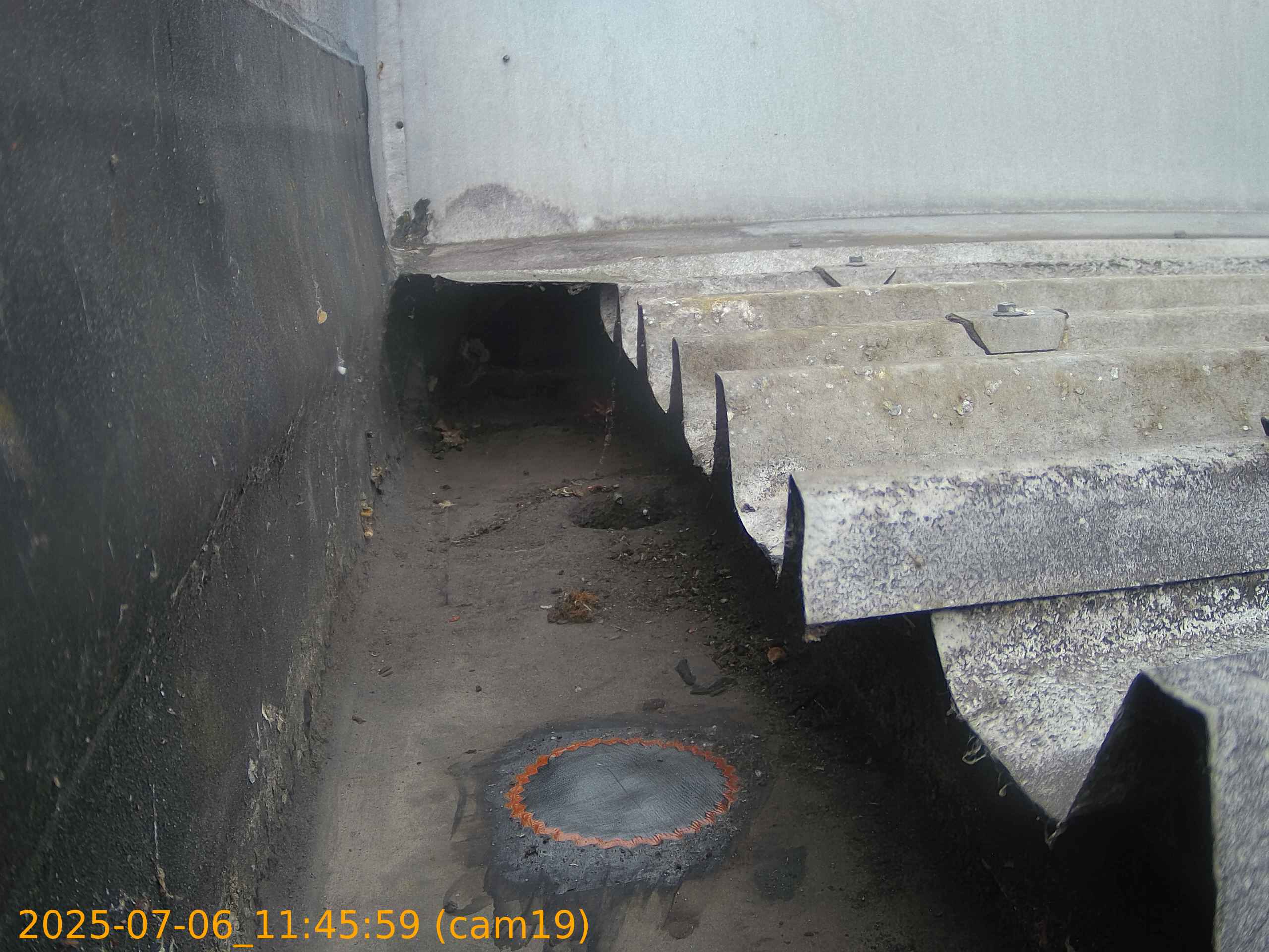 thumbnail_202507061145
