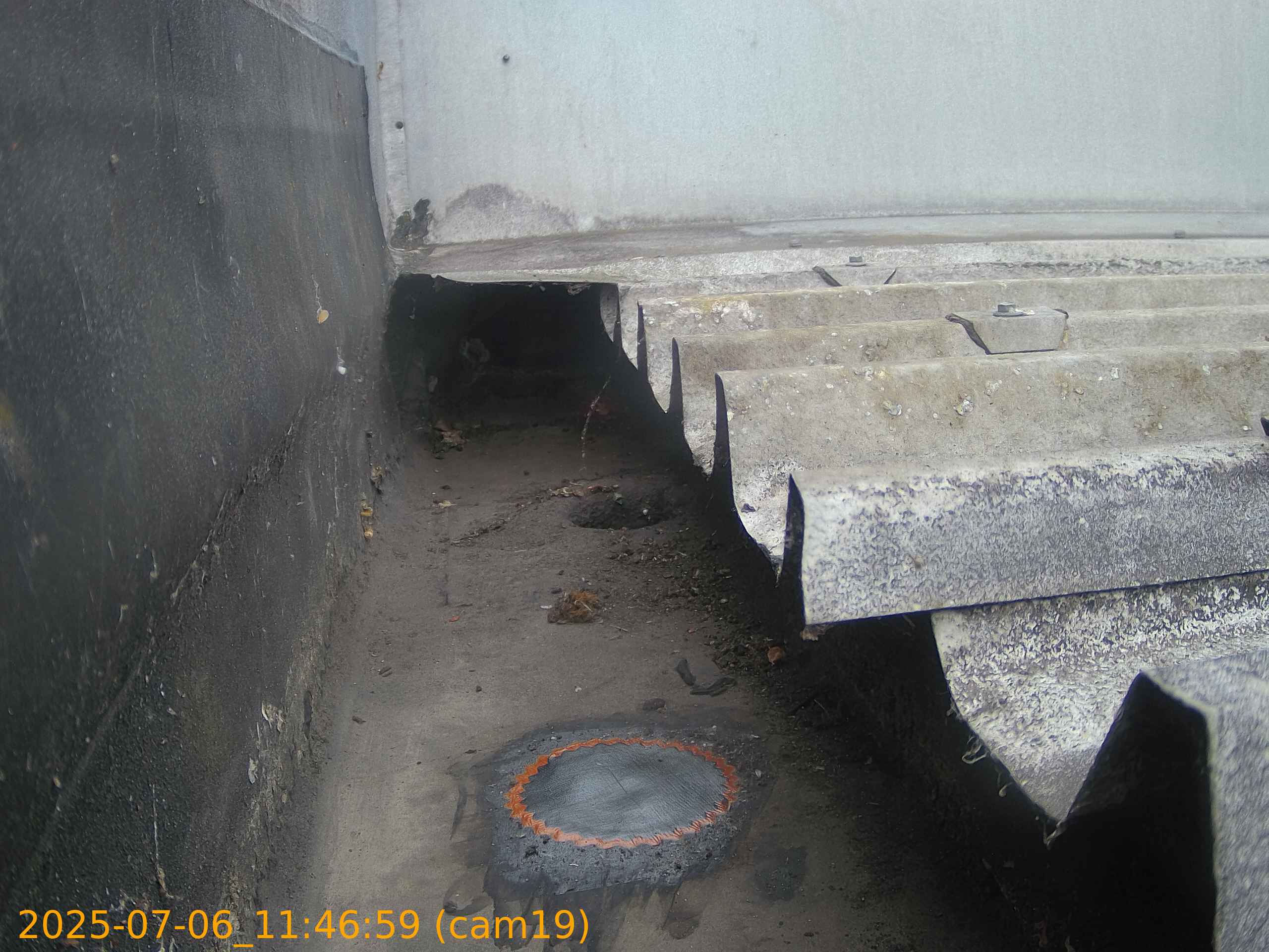 thumbnail_202507061146