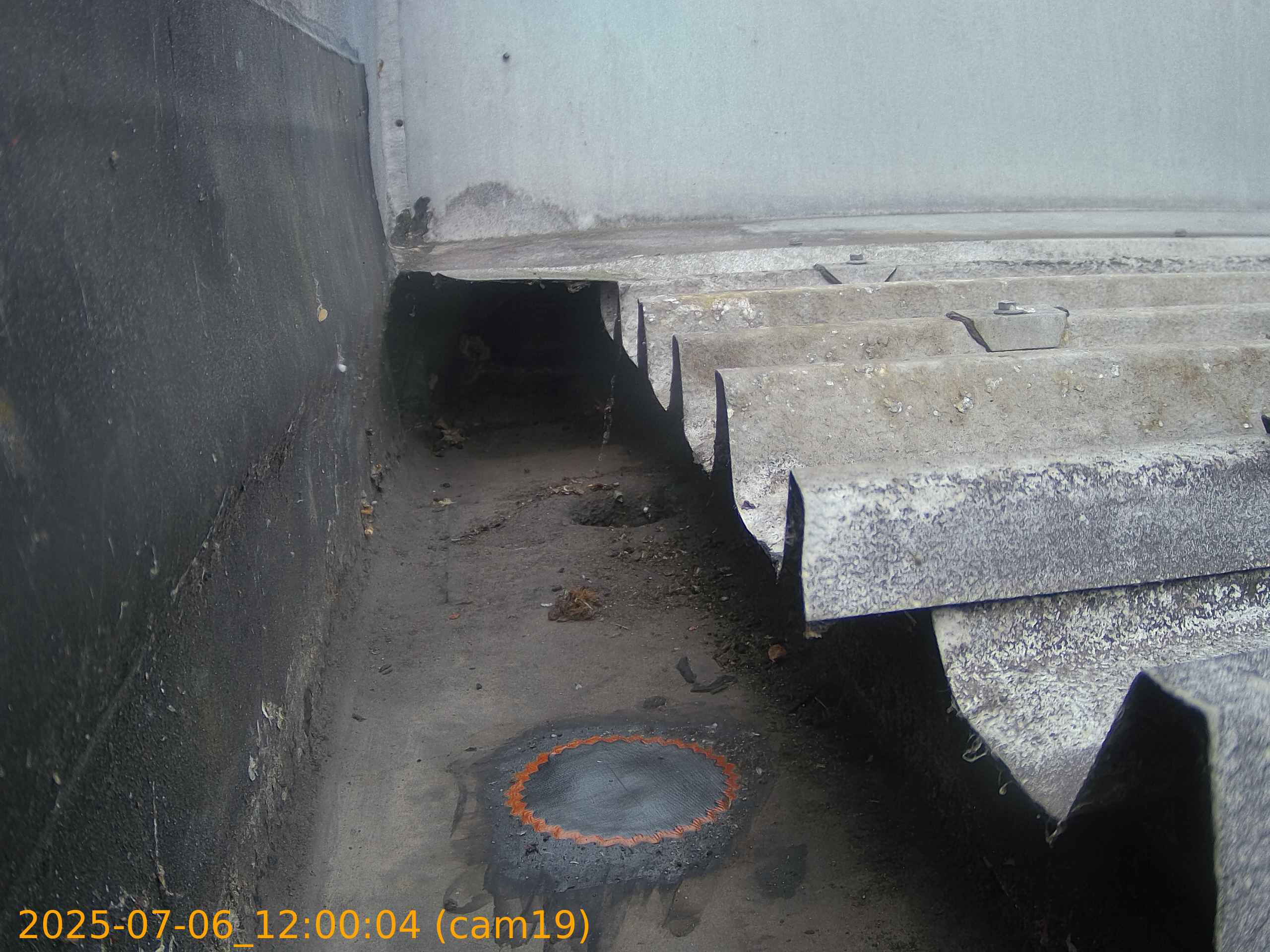 thumbnail_20250706120004