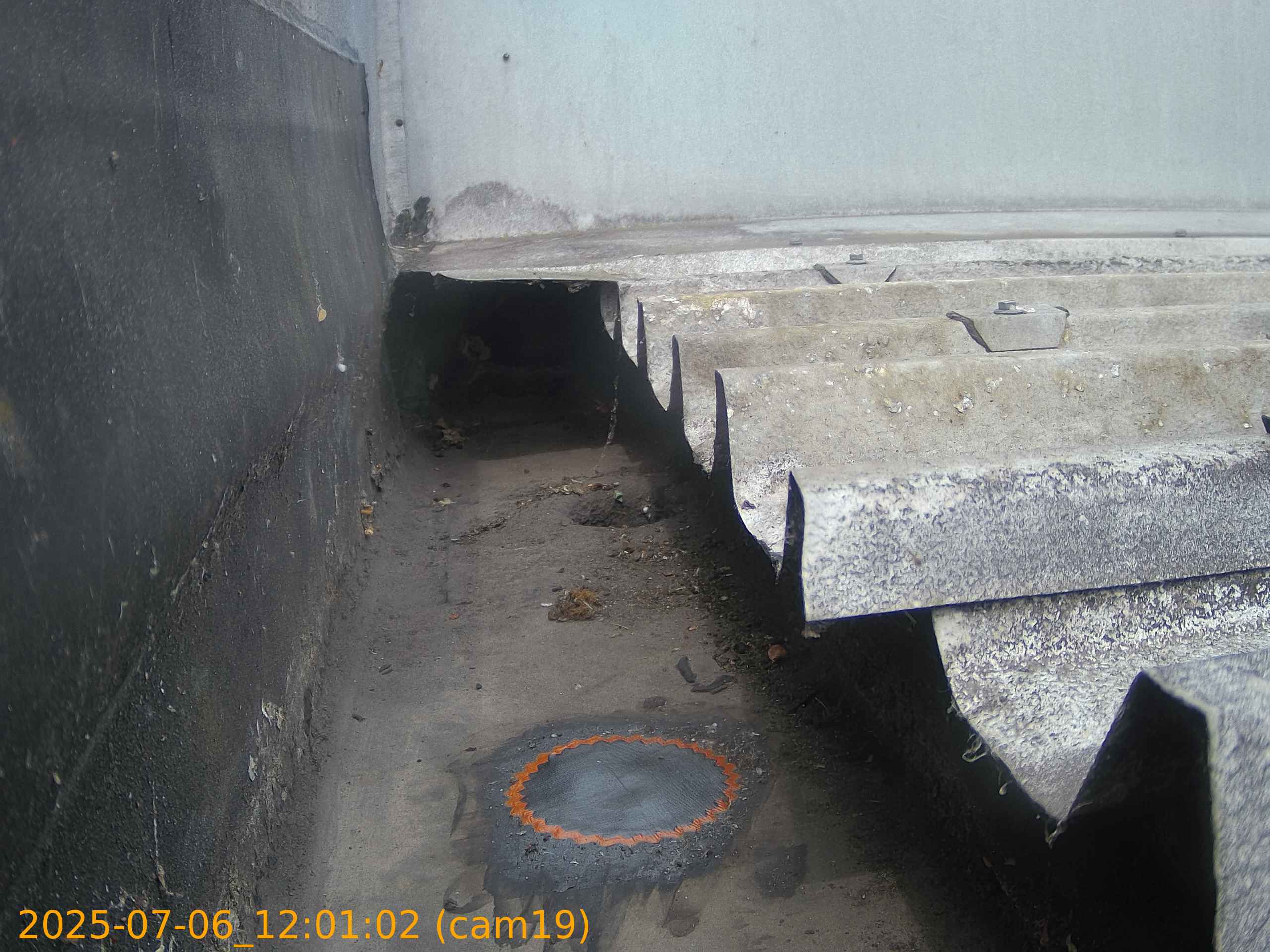 thumbnail_20250706120101