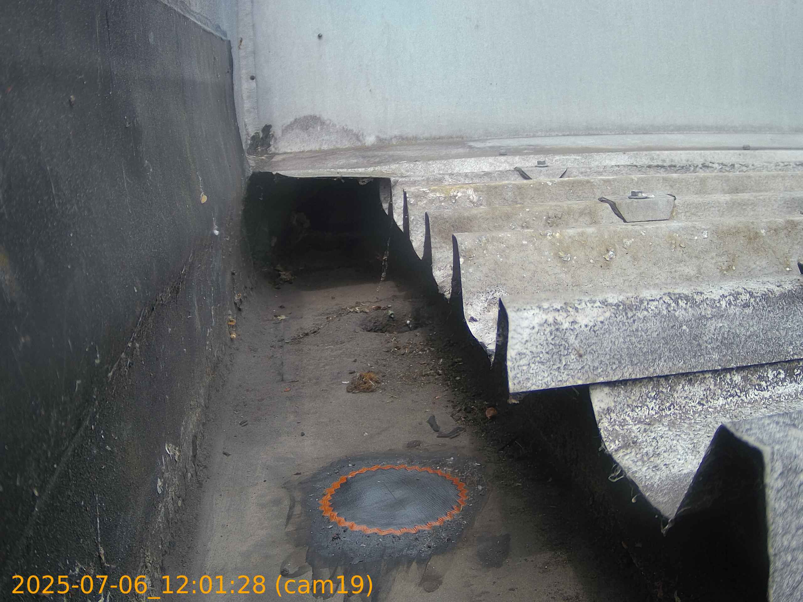 thumbnail_20250706120127