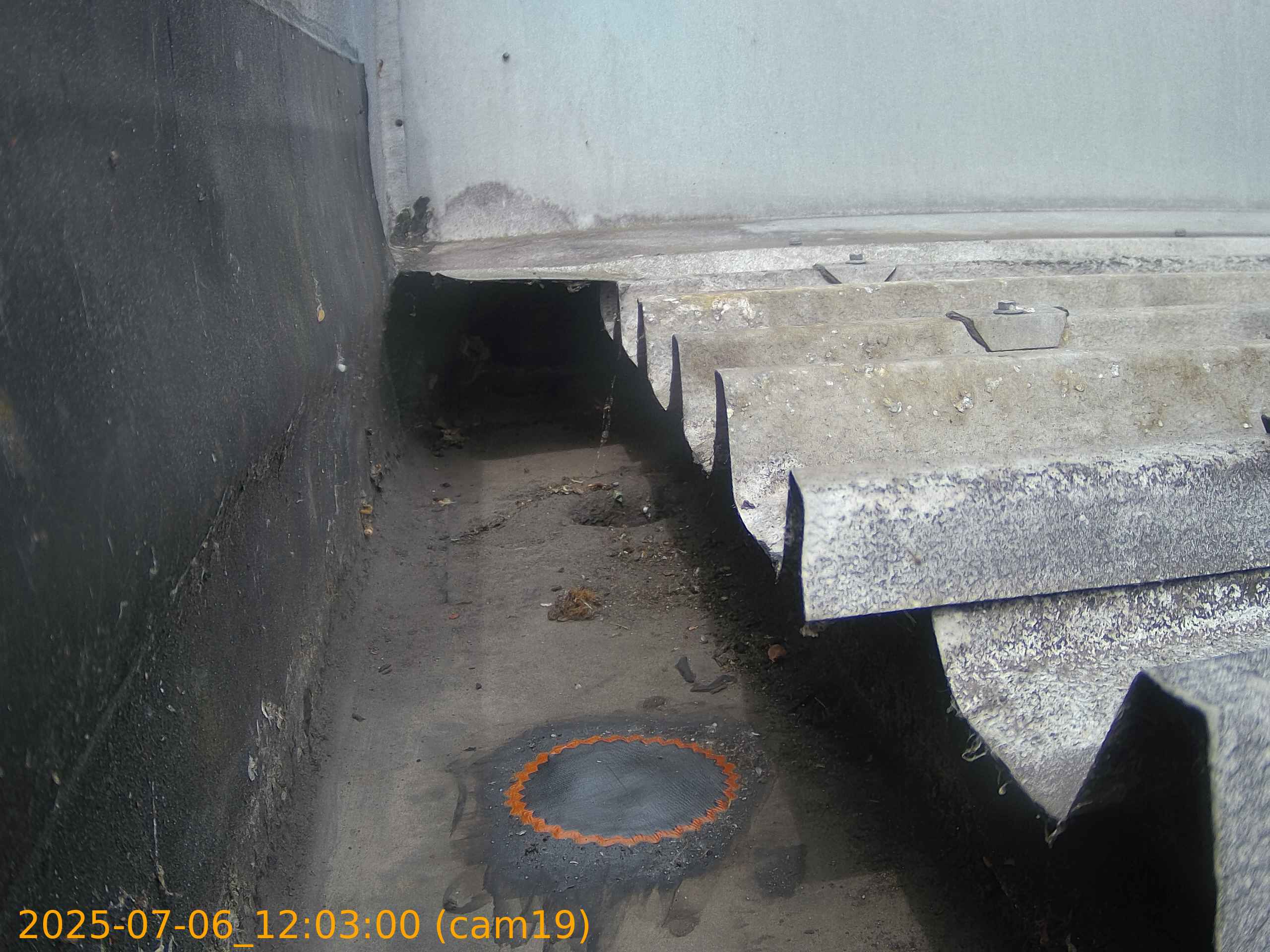 thumbnail_20250706120300