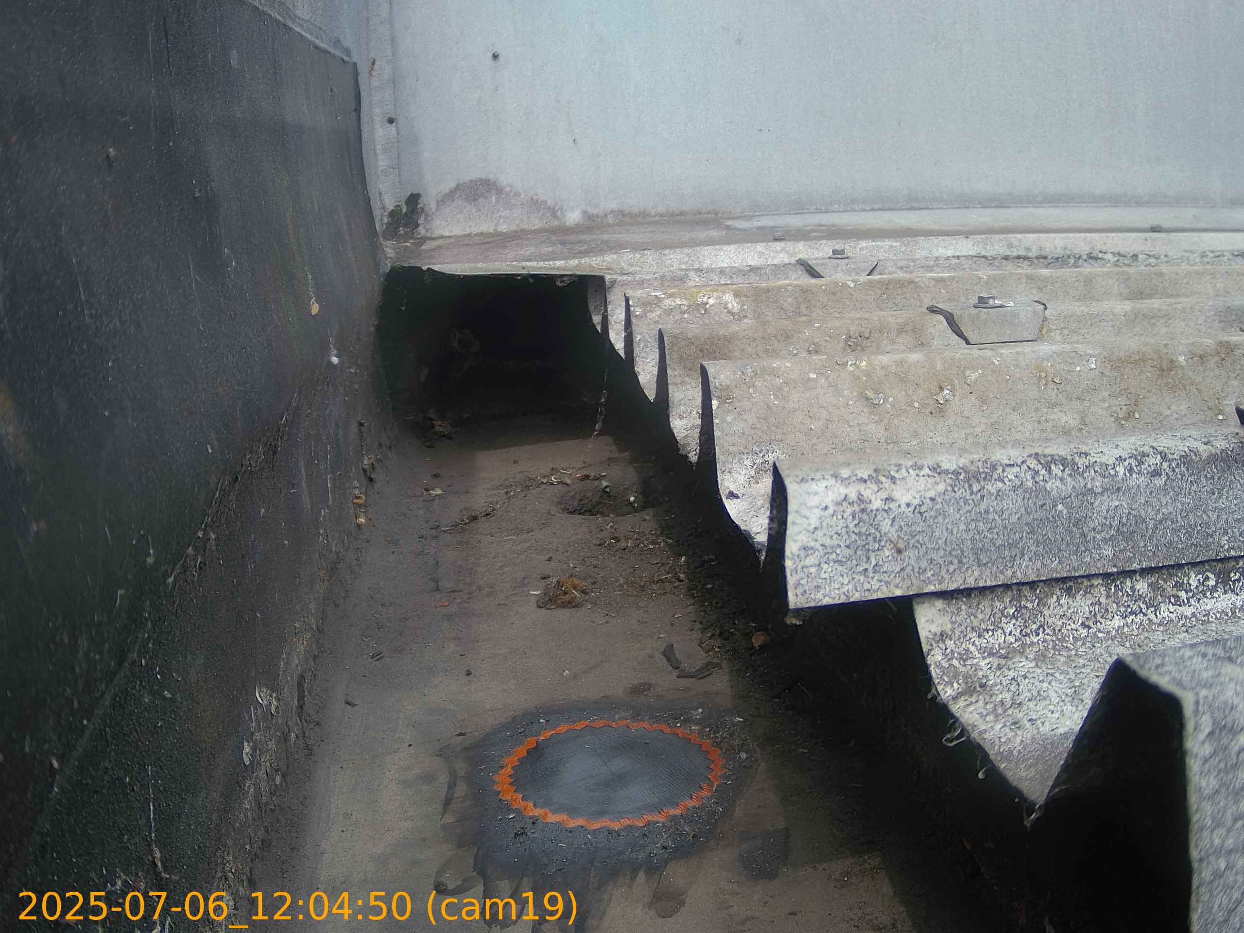 thumbnail_20250706120450