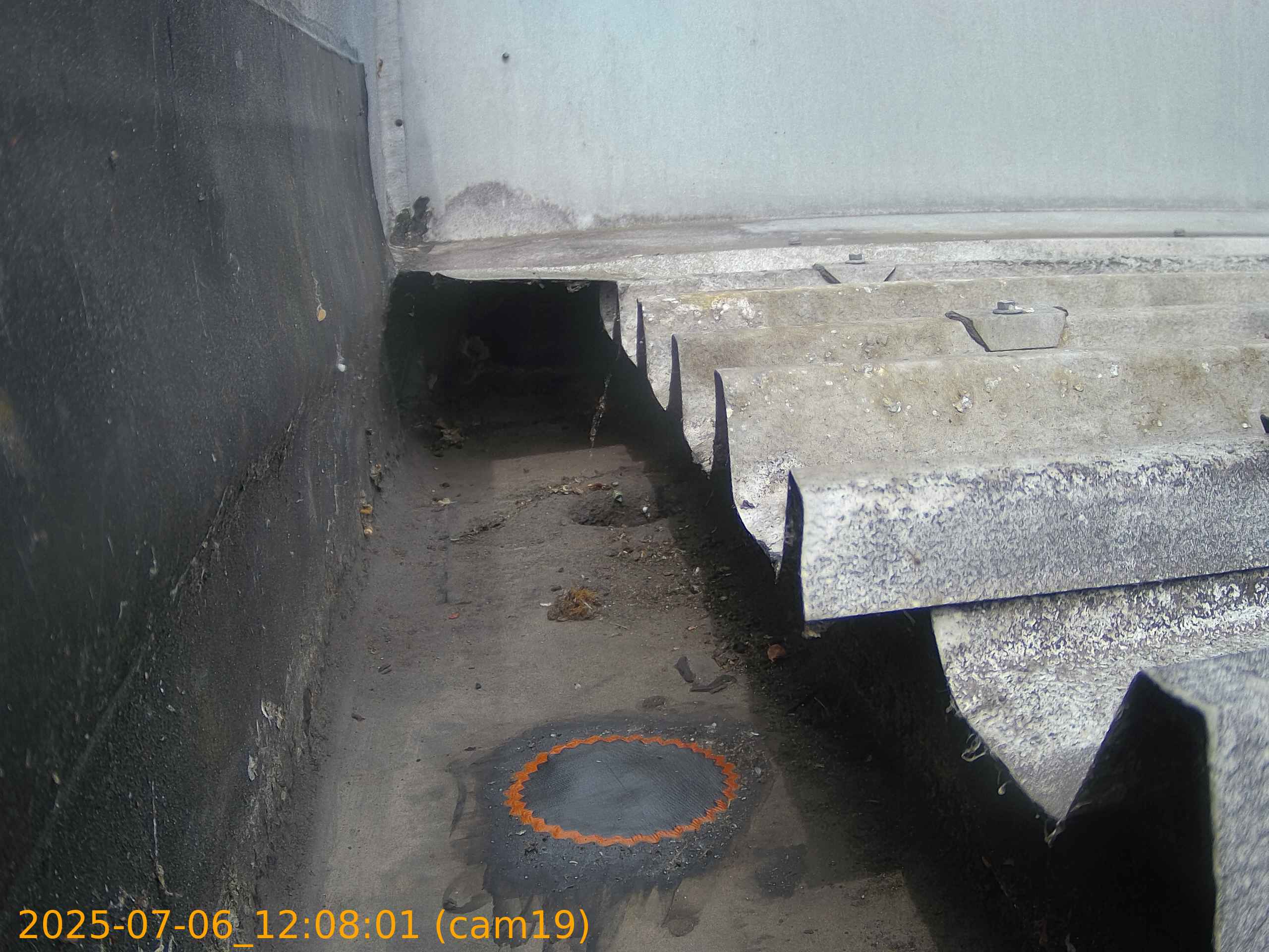 thumbnail_20250706120801