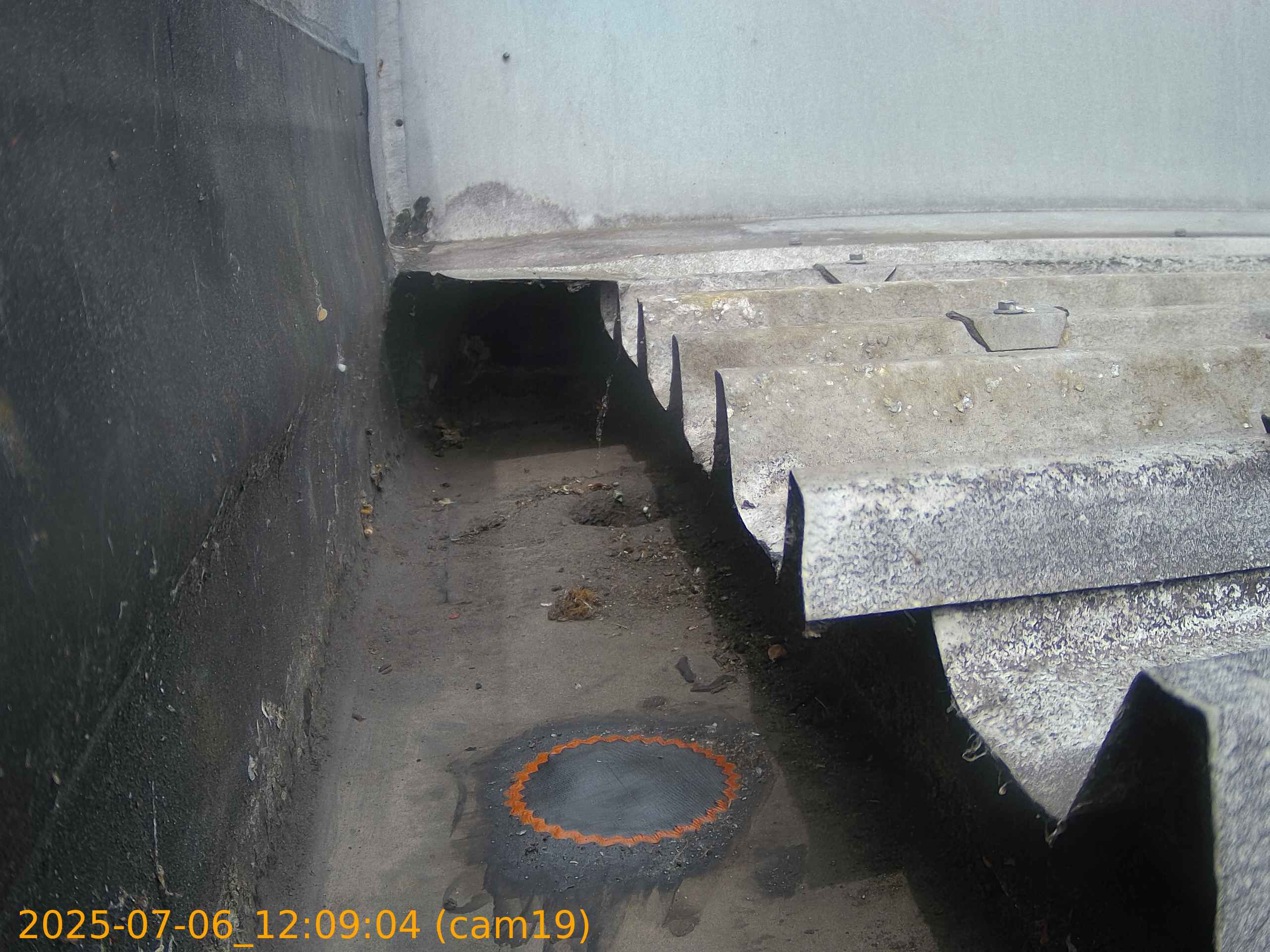 thumbnail_20250706120904