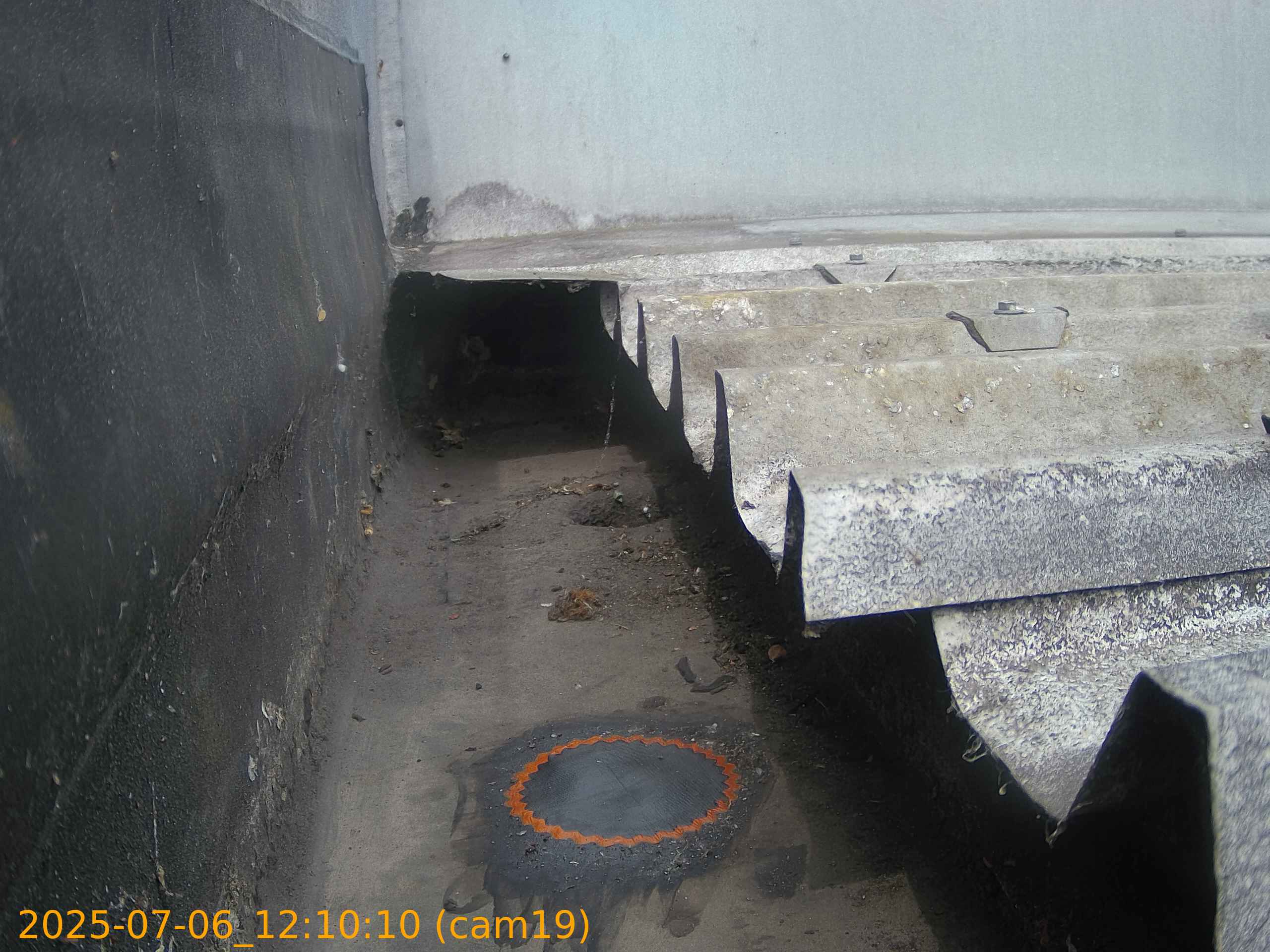 thumbnail_20250706121010