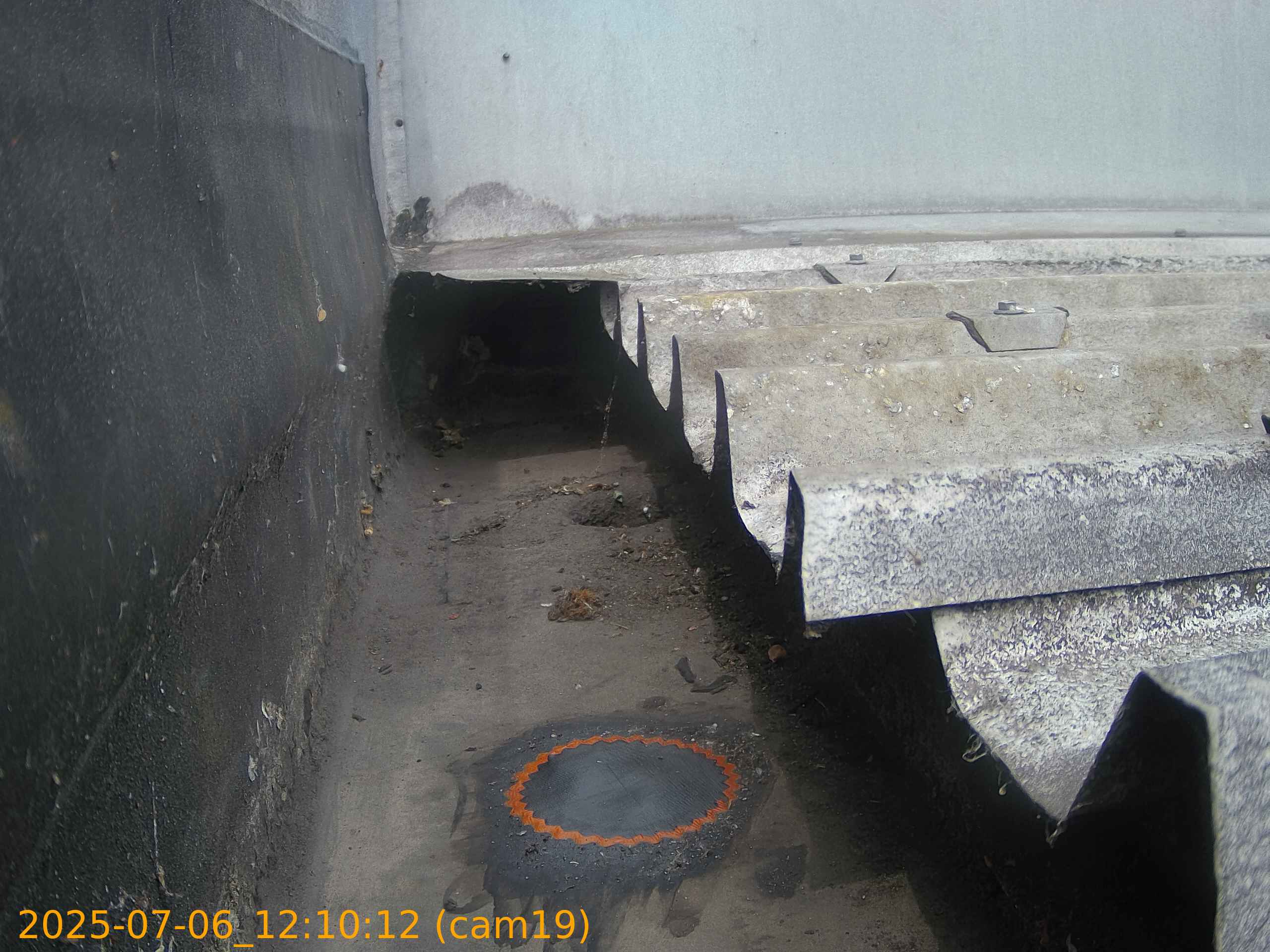 thumbnail_20250706121012