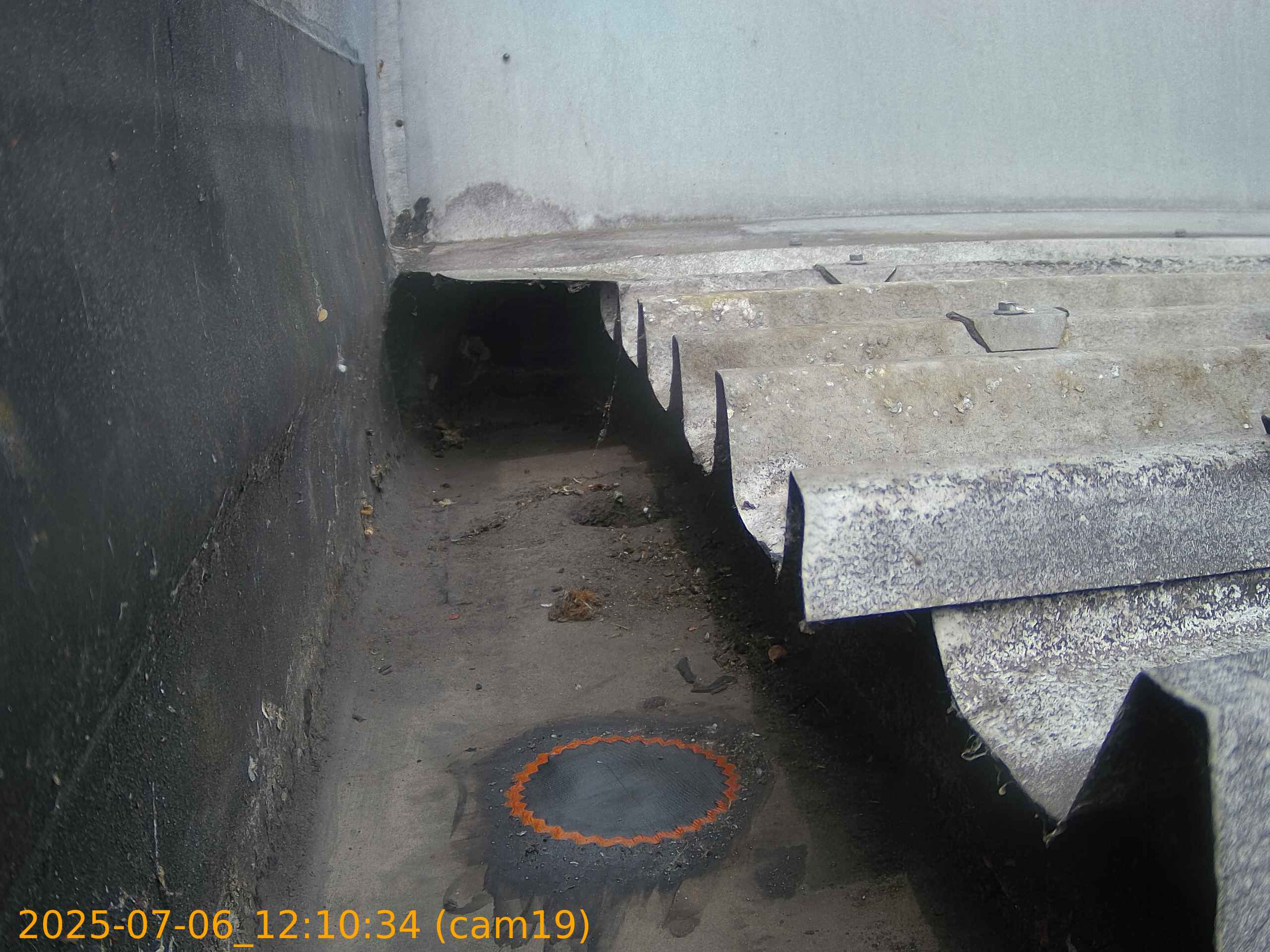 thumbnail_20250706121034