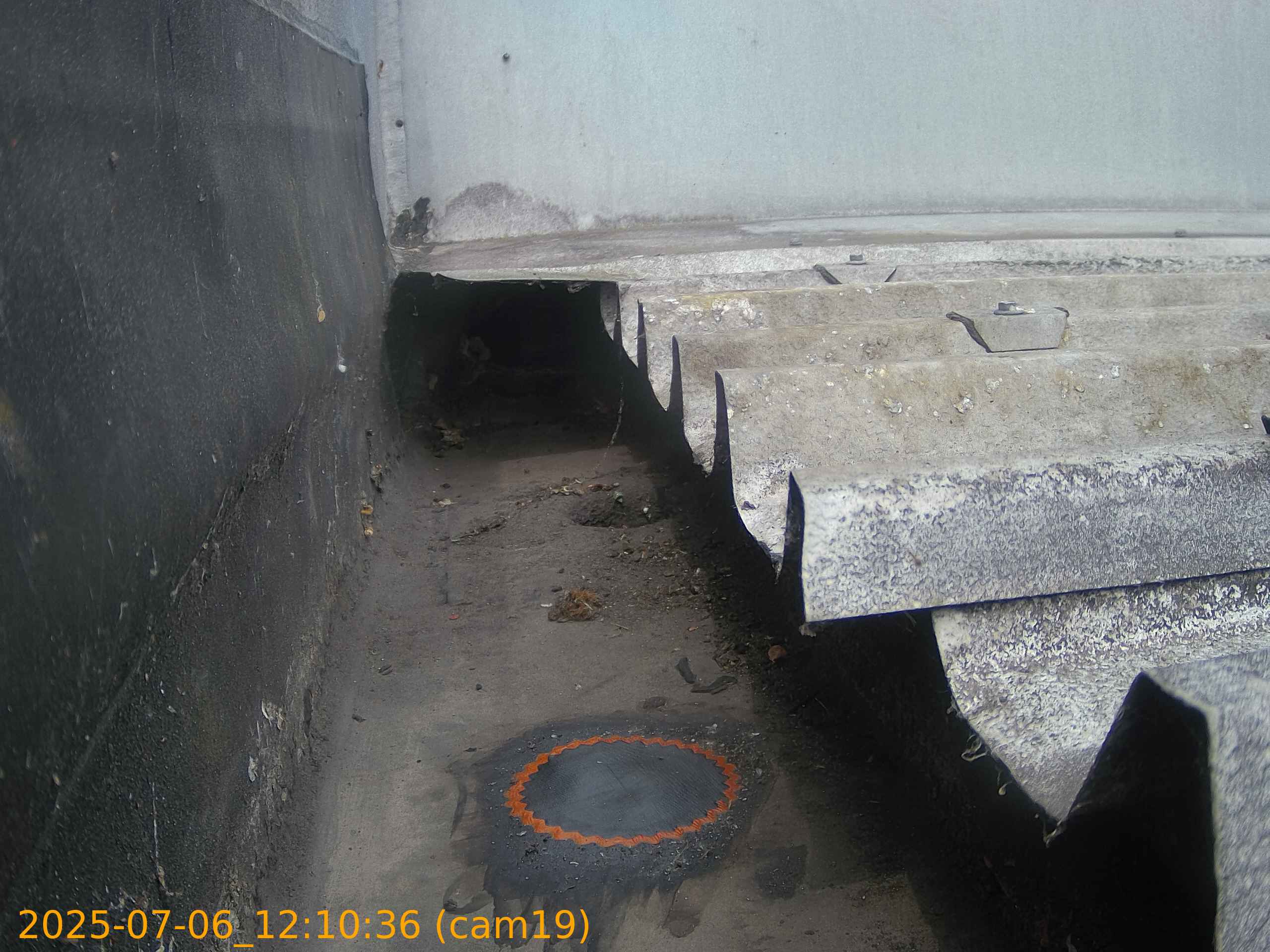 thumbnail_20250706121036