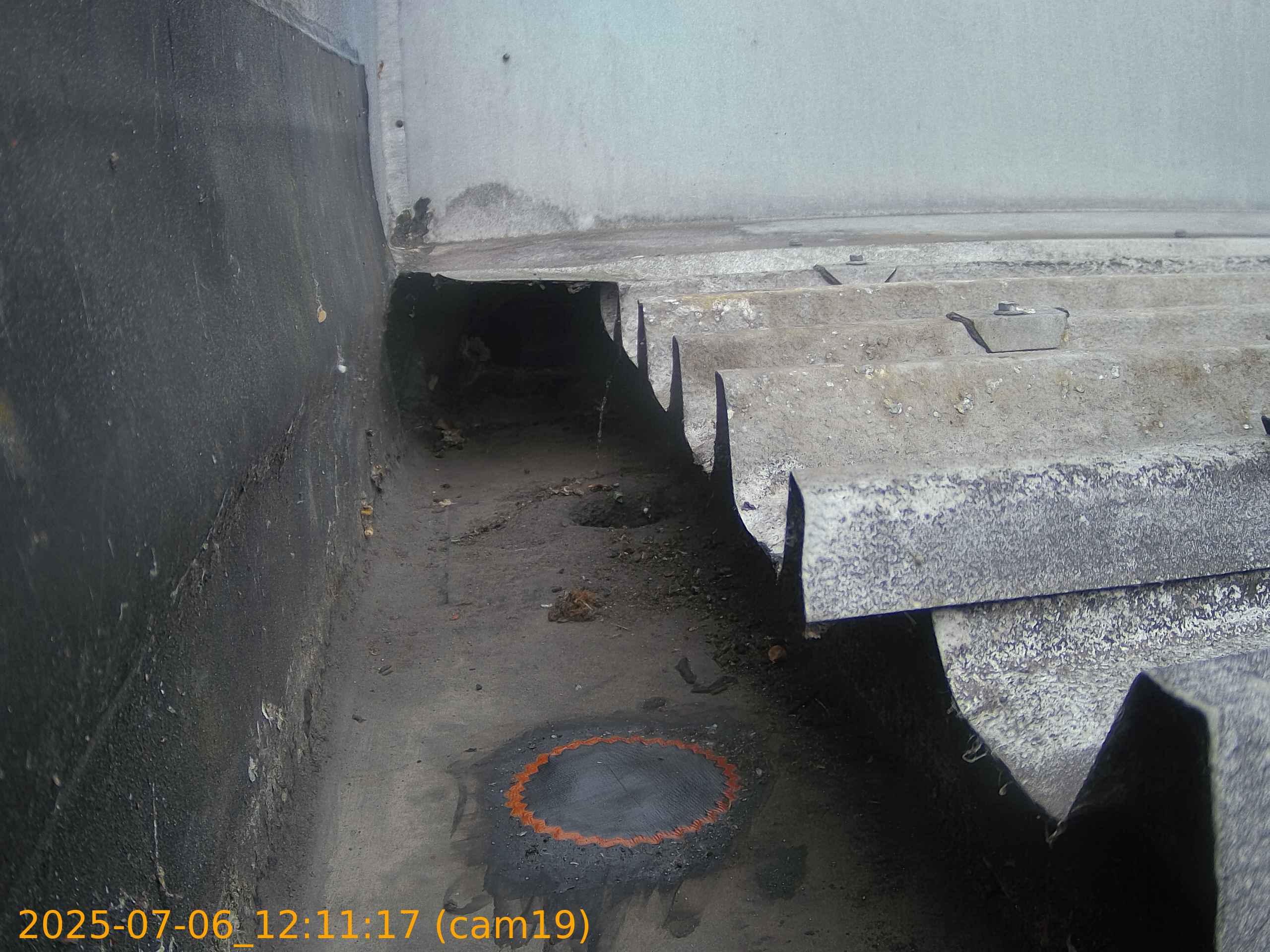 thumbnail_20250706121117